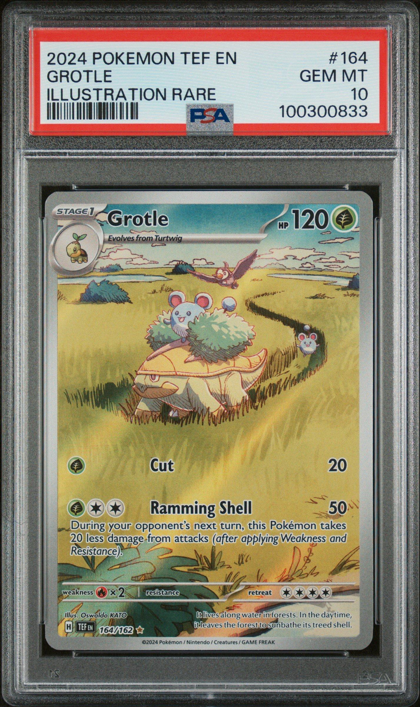 2024 Pokemon Tef En-temporal Forces 164 Grotle Illustration Rare PSA