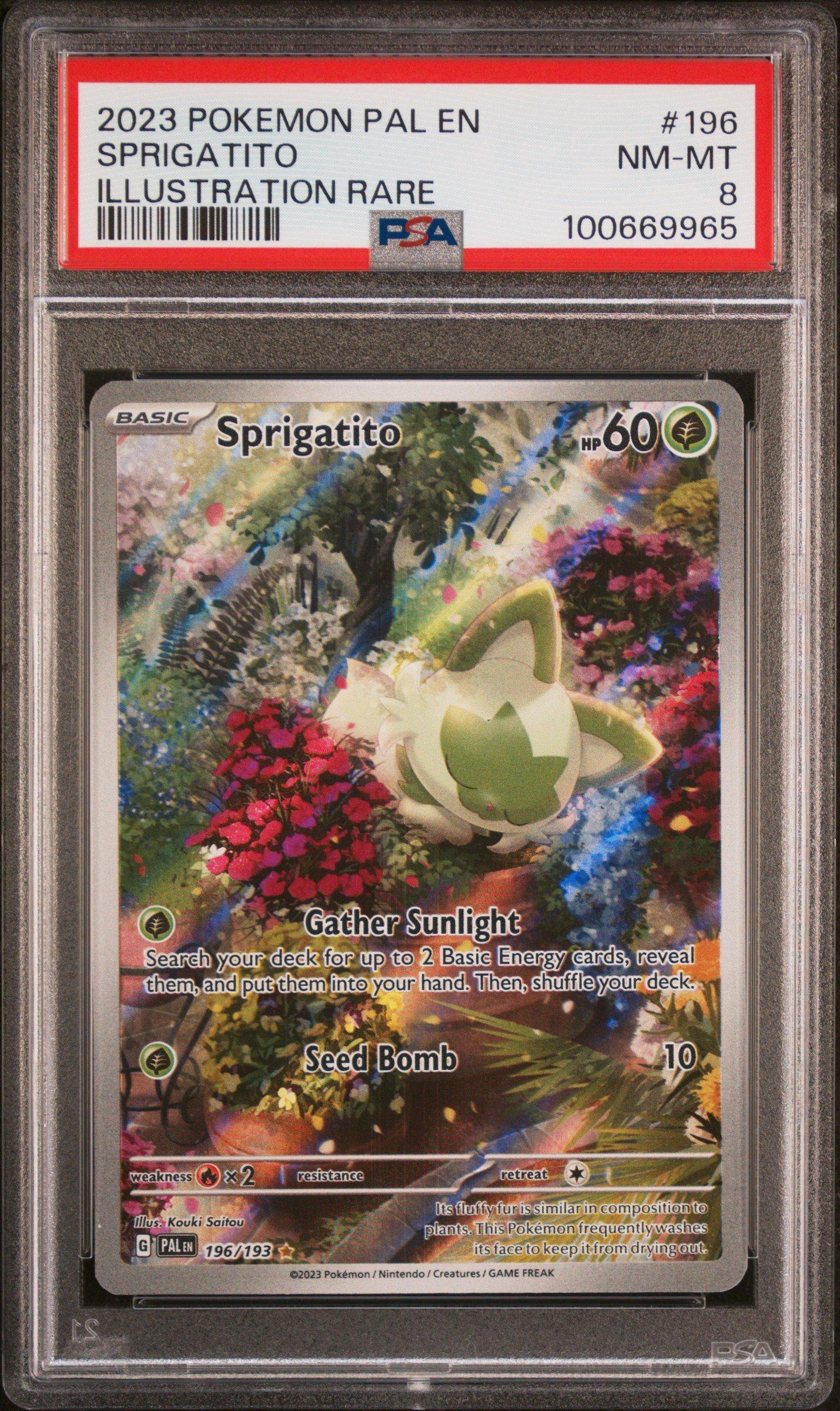 【PSA8】ピジョット カードe 2023 Pokemon Pal En-paldea Evolved 196 Sprigatito Illustration