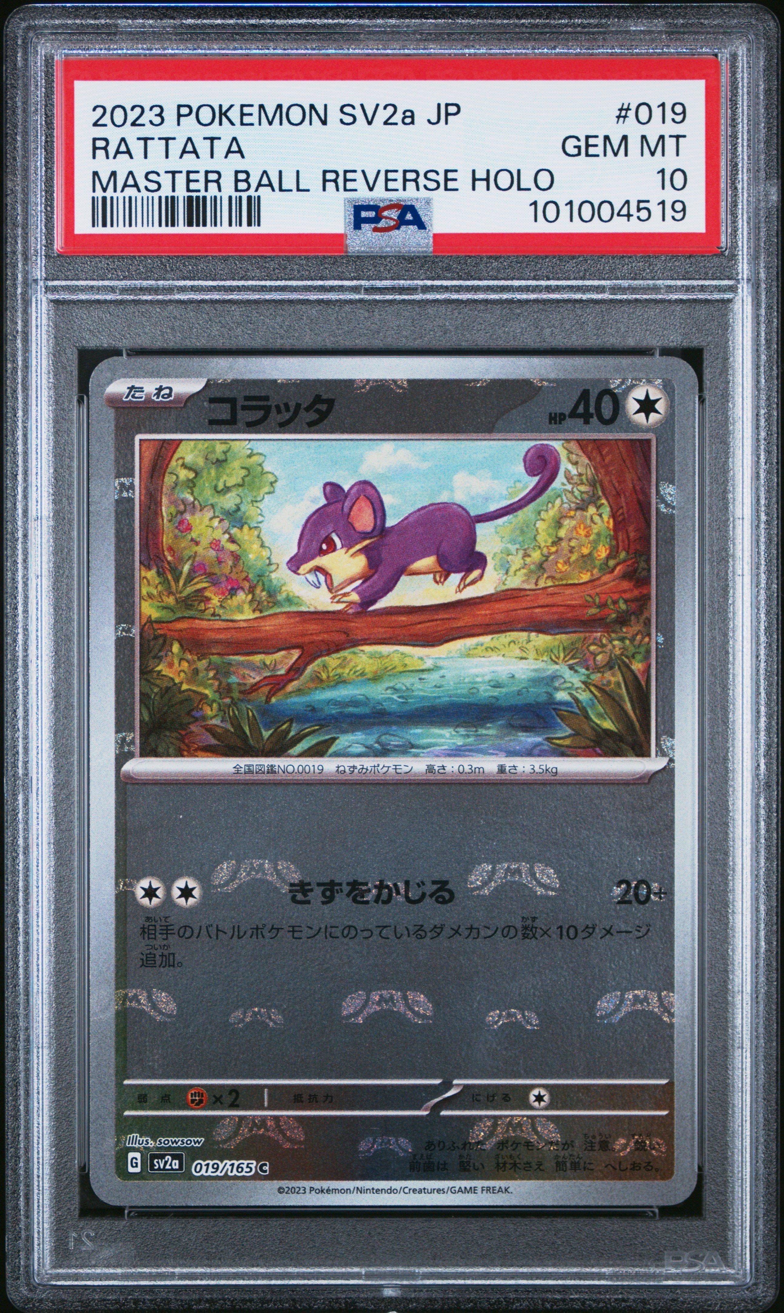 【PSA10】コラッタ 2023 マチスのコラッタ PSA 10 - カルドバ