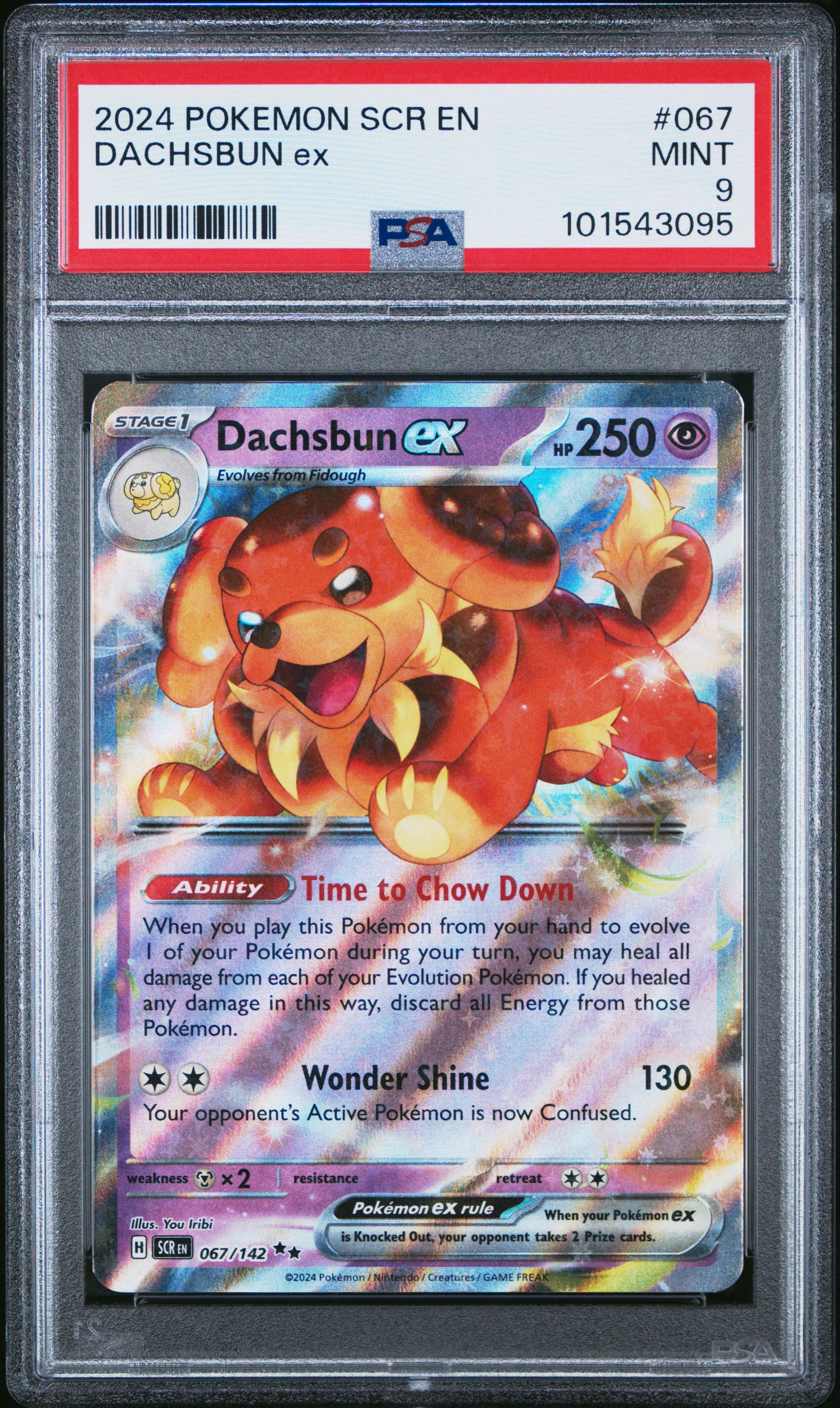 2024 Pokemon Scr En-stellar Crown 067 Dachsbun Ex PSA