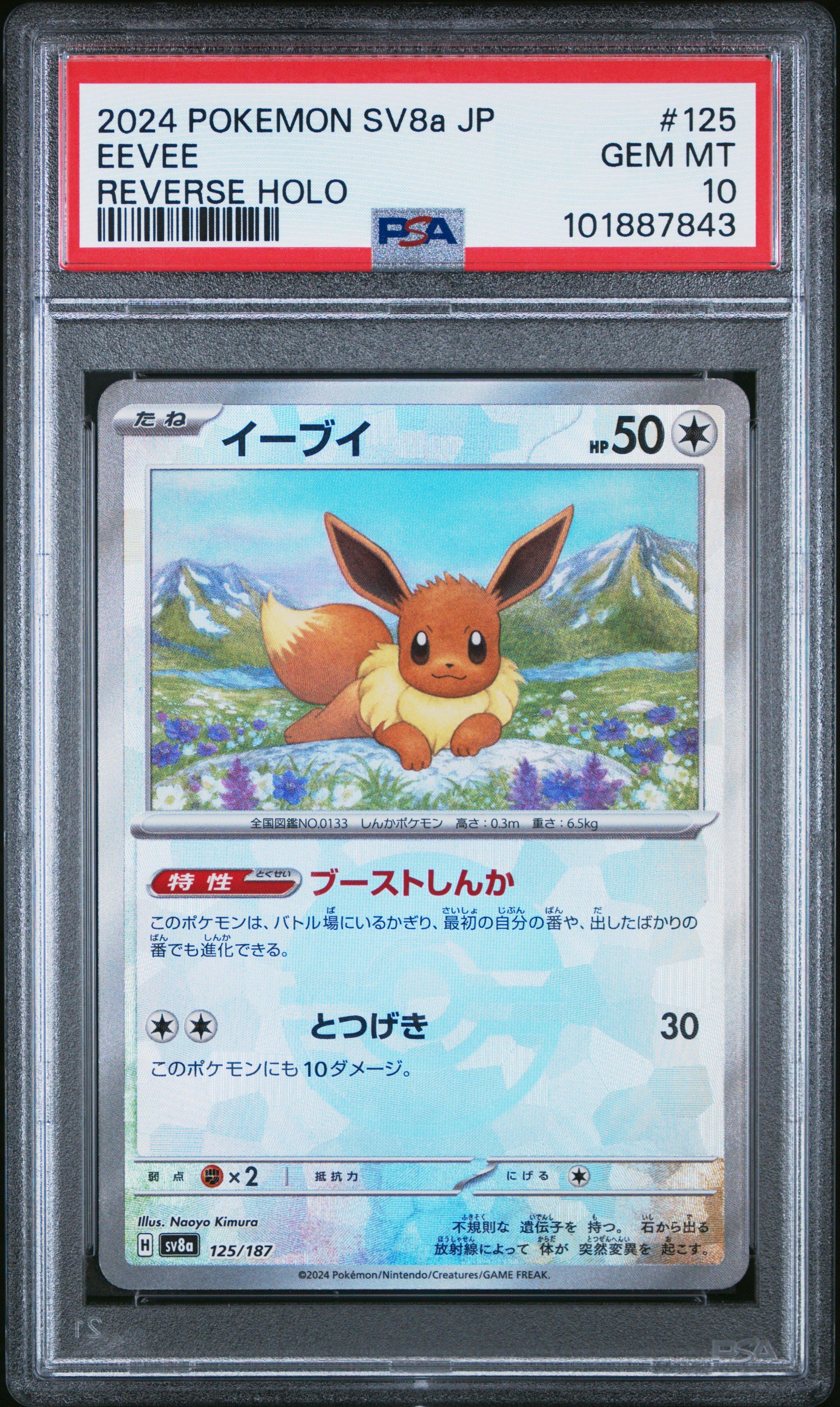 2024 Pokemon Japanese Sv8a-terastal Fest Ex 125 Eevee Reverse Holo PSA 10