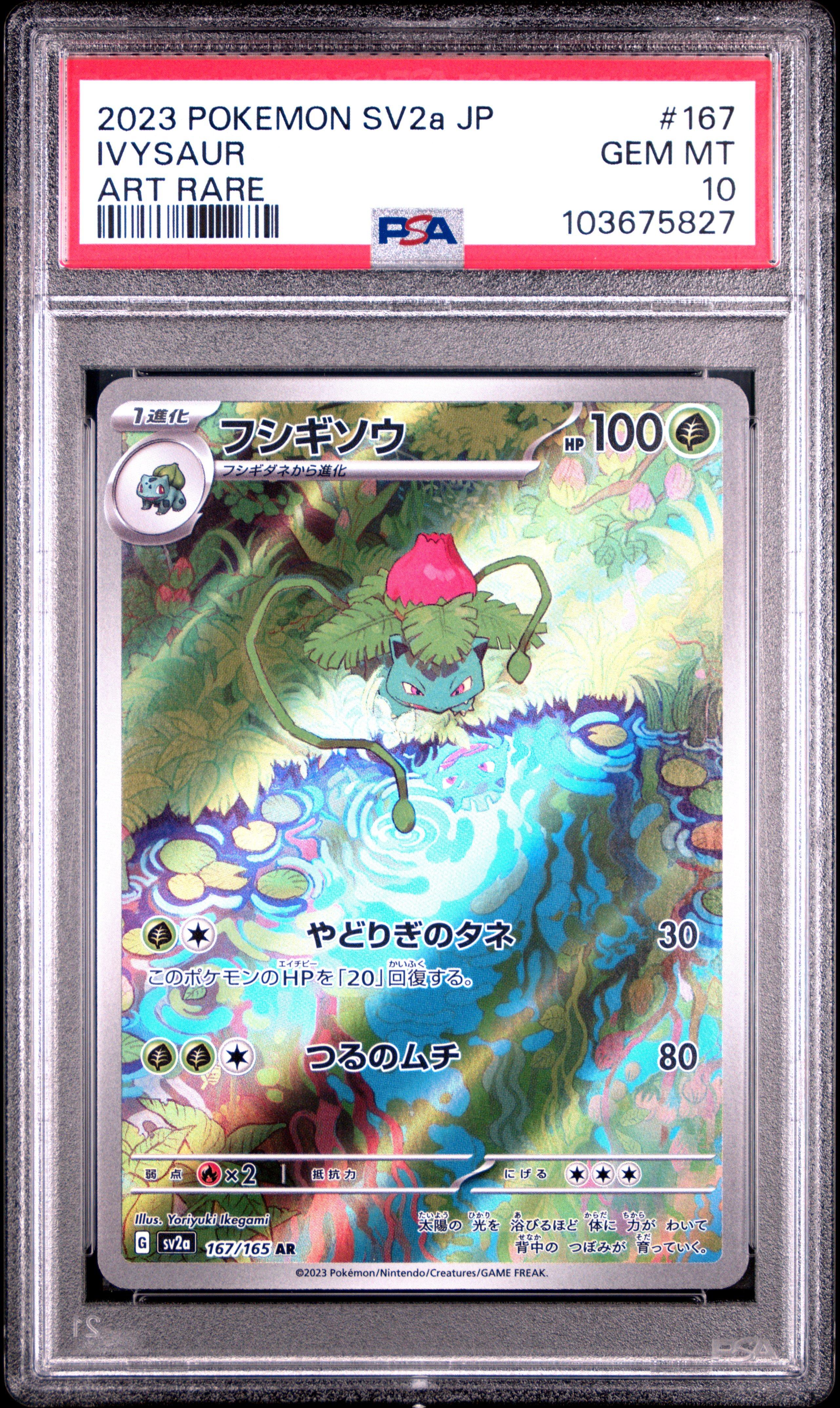 2023 Pokemon Japanese Sv2a-pokemon 151 167 Ivysaur Art Rare PSA 10