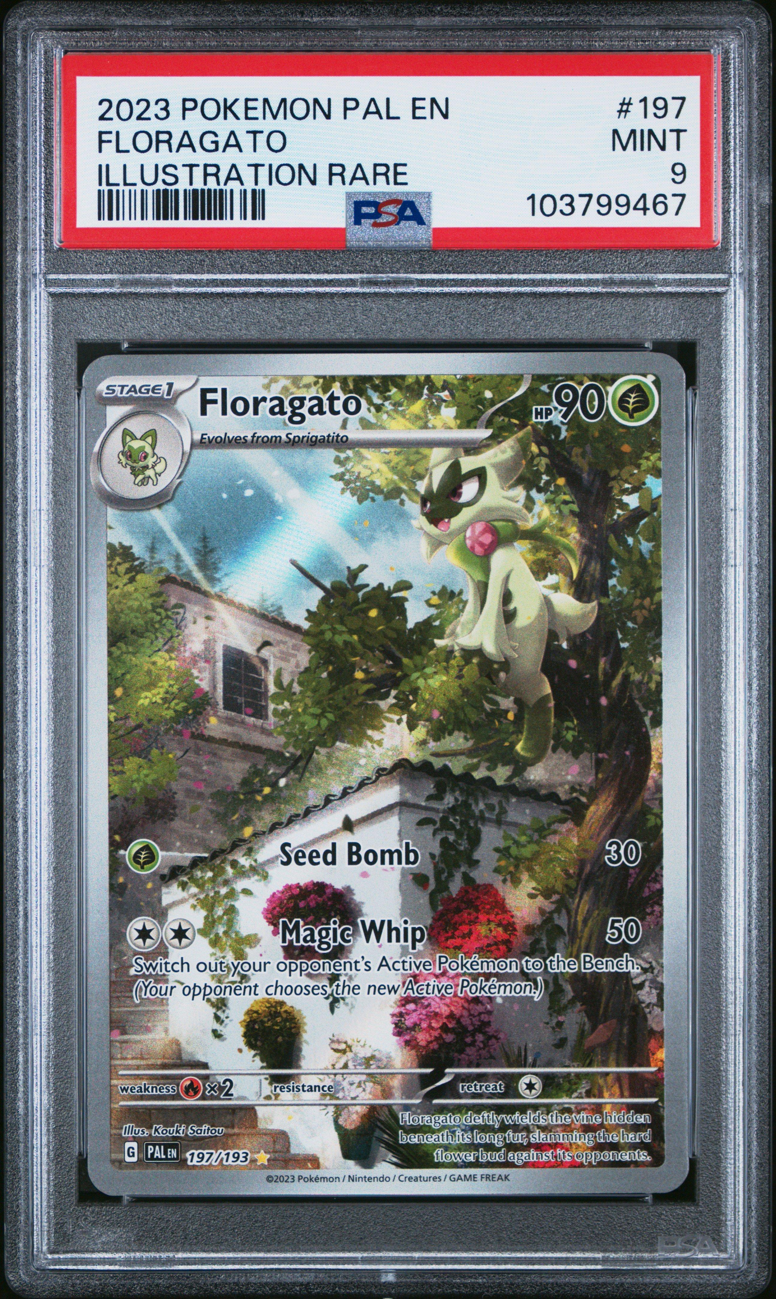 floragato pokemon card 2025 Chinese SV Gem Pack Vol. 1 AR #02 08 CGC 8 NM-MT on Fanatics Collect Colorless Magical Leaf (30+) Flip a coin Floragato - 197/193 197 -