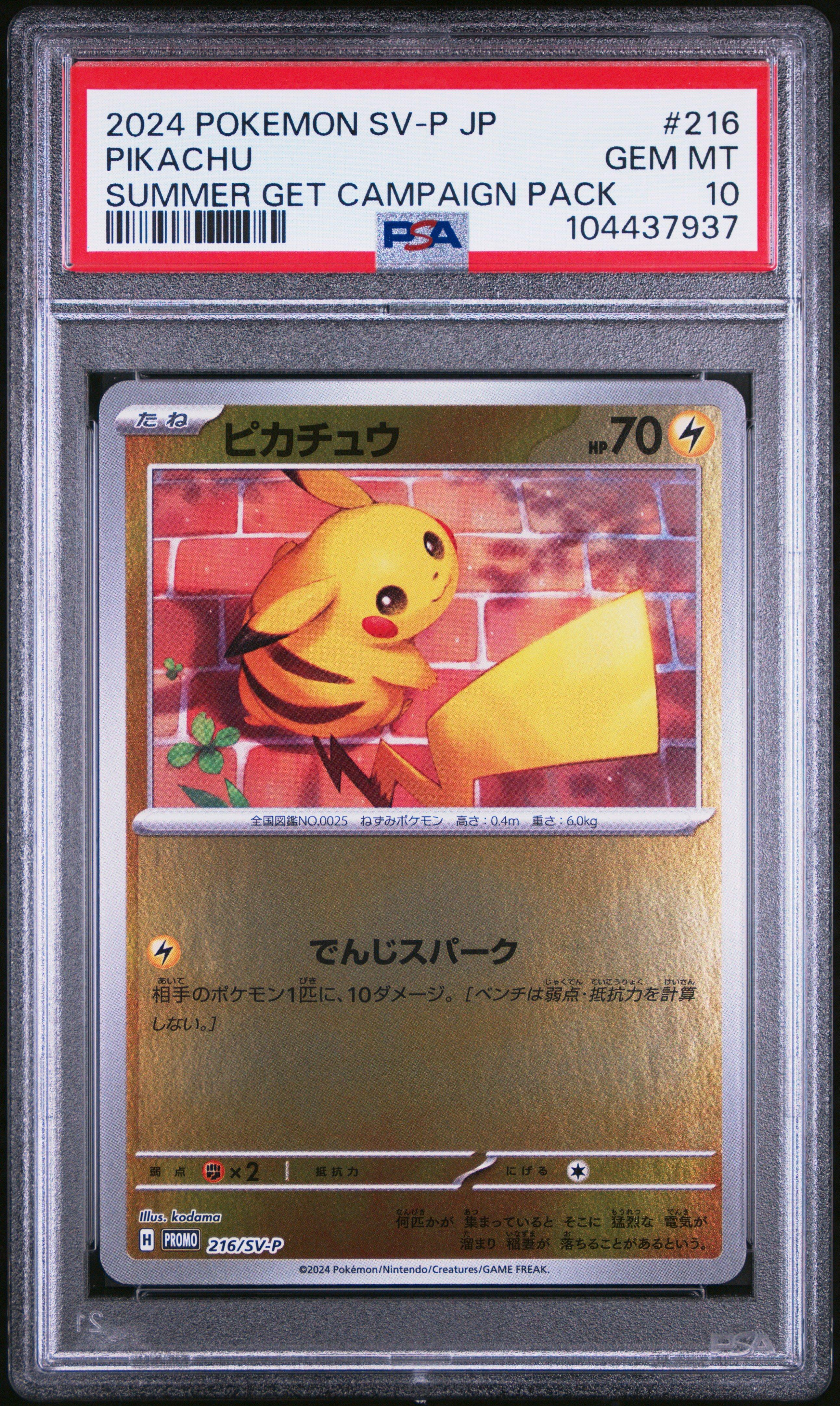 2024 Pokemon Japanese Sv-p Promo 216 Pikachu Summer Of Pokeca Is