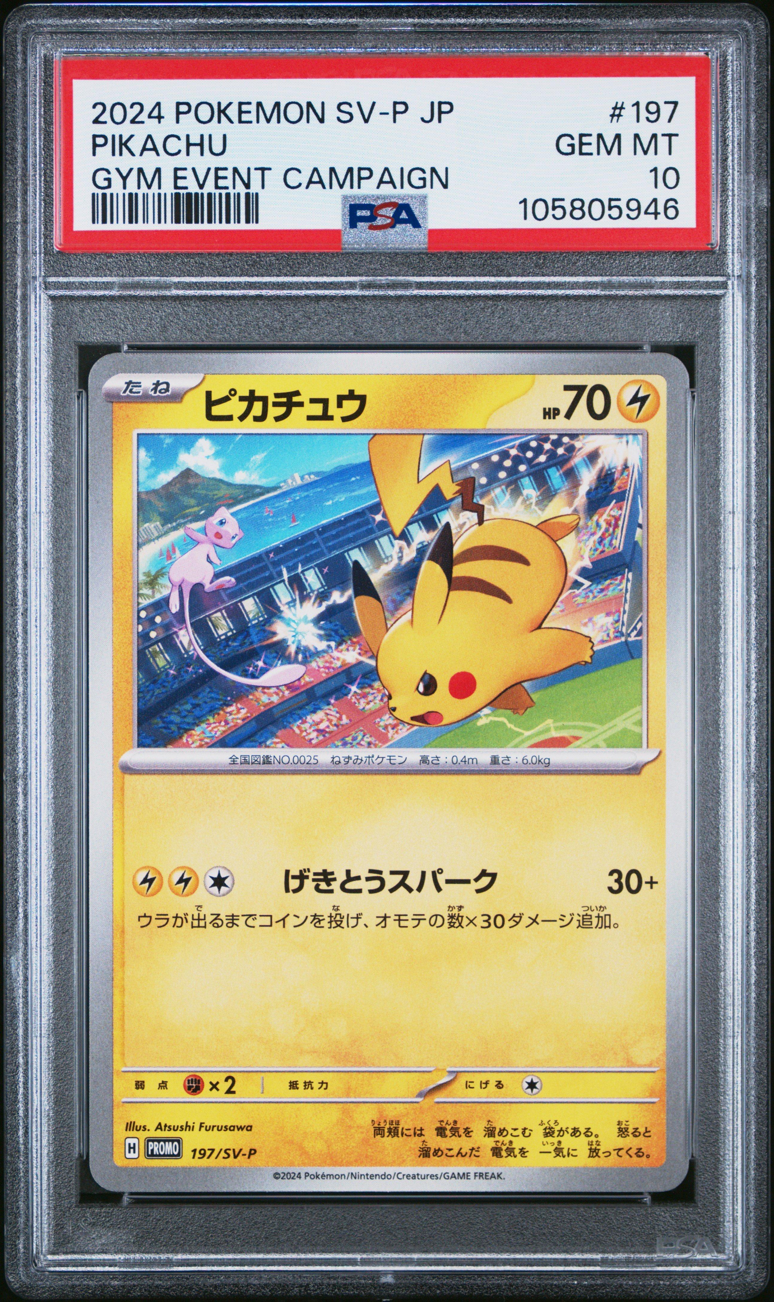 Pokemon Japanese Sv-p Promo Pikachu Gym Event Campaign PSA
