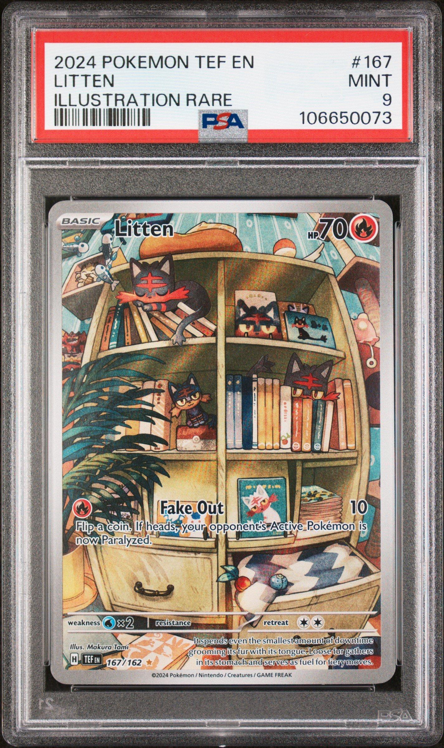 2024 Pokemon Tef En-temporal Forces 167 Litten Illustration Rare PSA