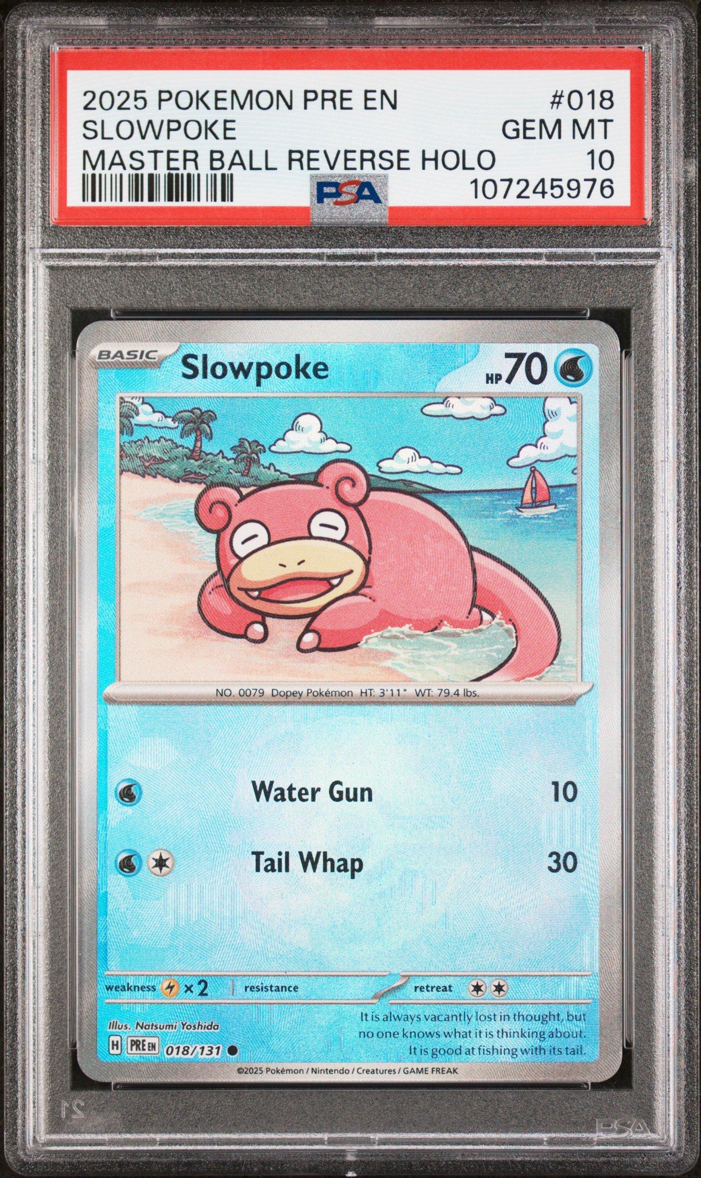 2025 ポケモン SV-P KO メタモンプロジェクト　PSA 10 2025 ポケモン SV-P KO メタモンプロジェクト PSA 10