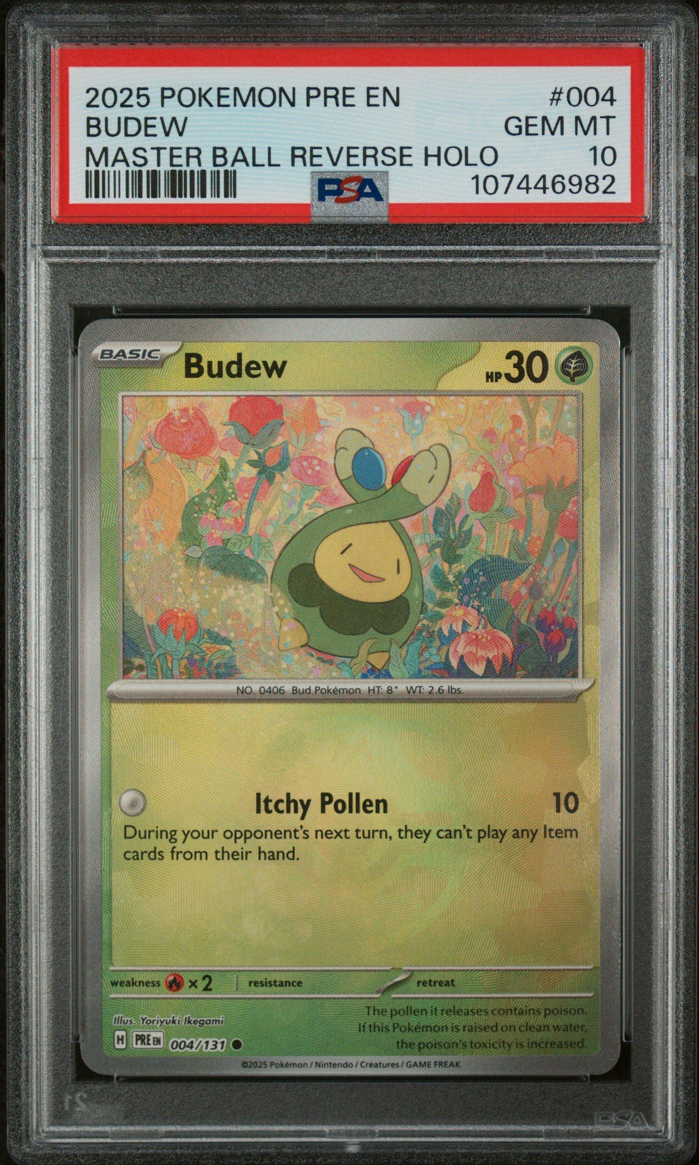 pokemon budew card Budew (Mirror Foil) - SV8a: Terastal Fest ex [MIRROR FOIL] [Near Mint] main image 0