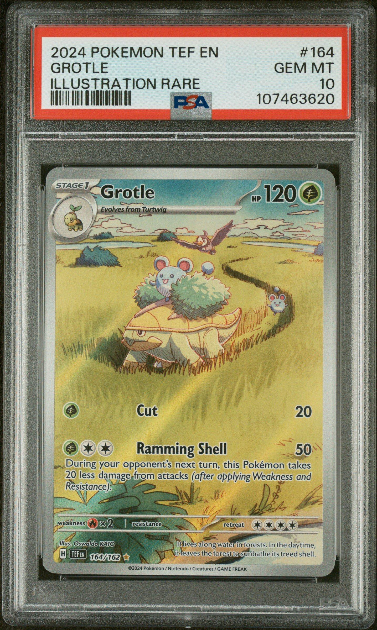 grotle pokemon card Grotle 7/172
