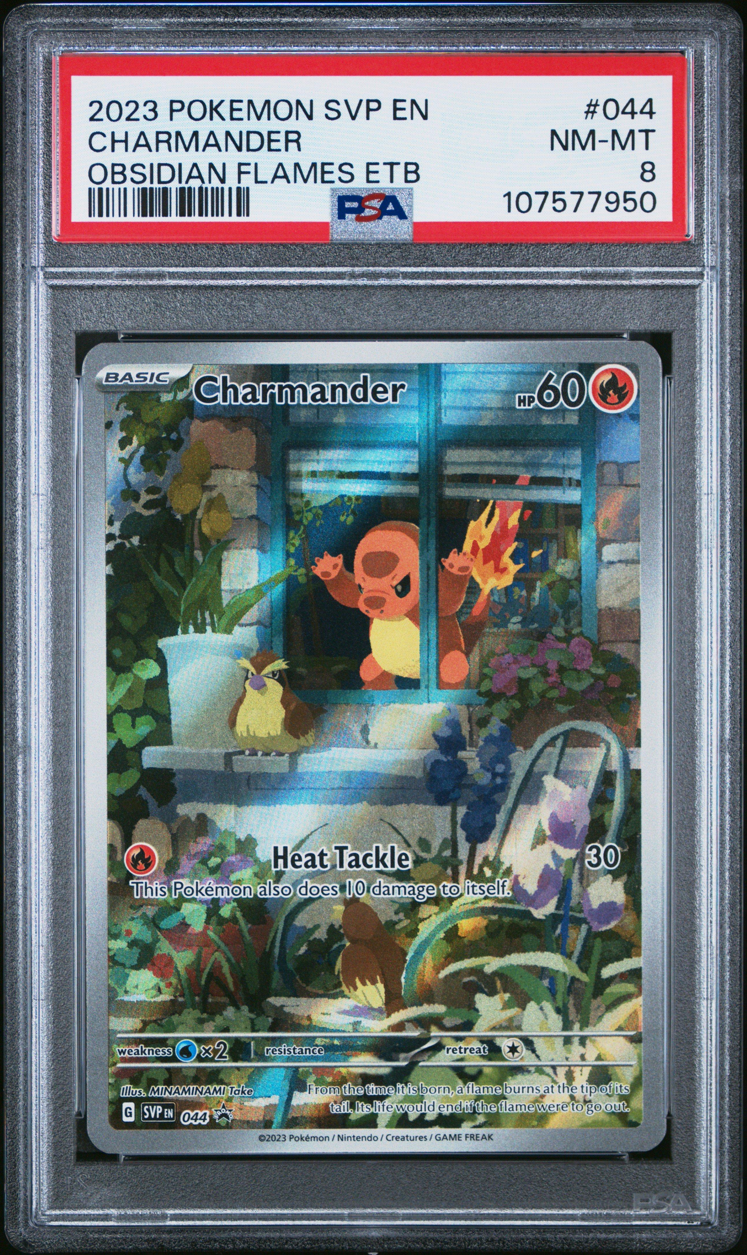 ヒトカゲ 英語版Charmander PSA8 SVP EN 044 2023 Pokemon Svp En-sv Black Star Promo 044 Charmander Obsidian