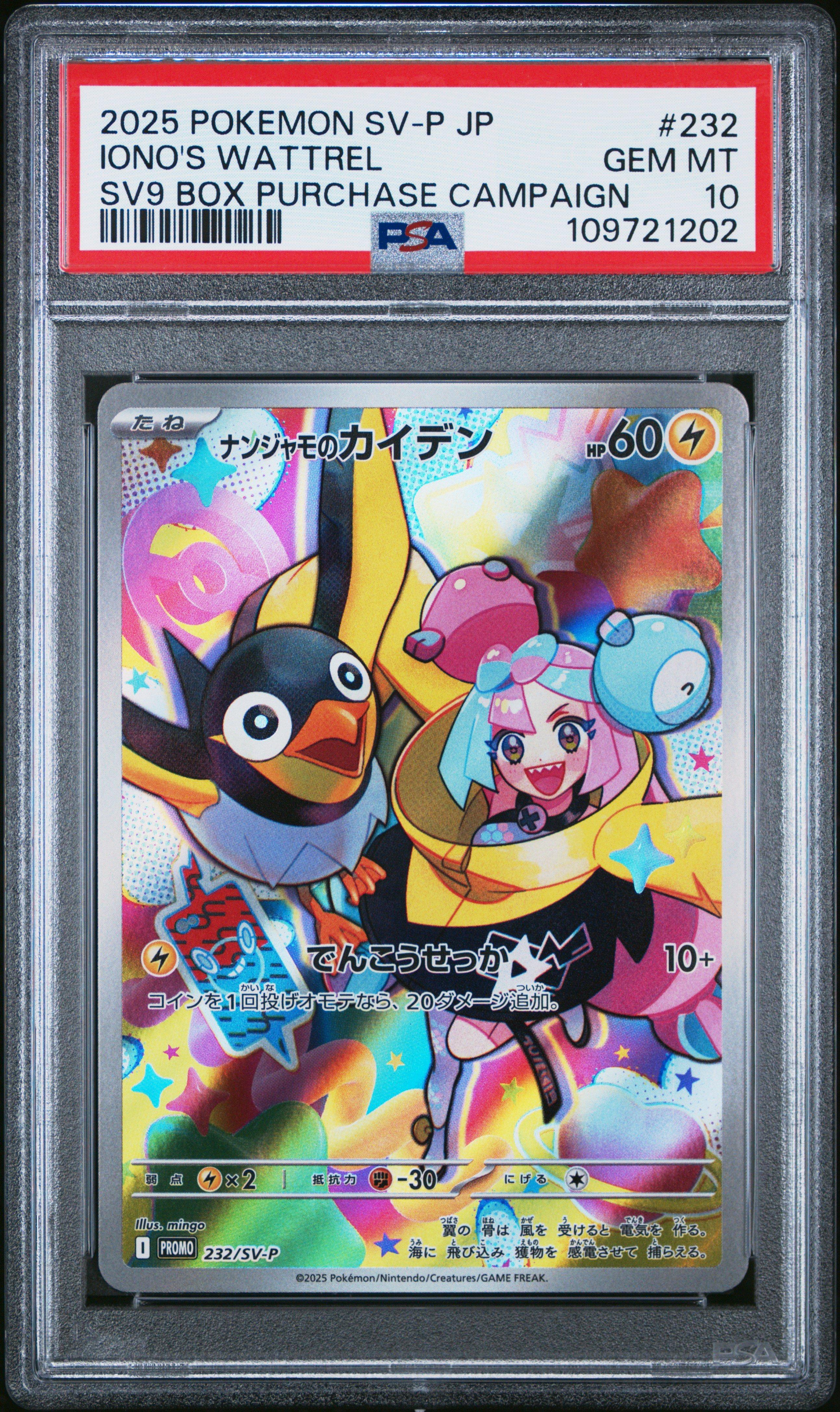 2025 ポケモンカード Iono's Wattrel #232 2025 Pokemon Japanese Sv-p Promo 232 Iono's Wattrel Battle