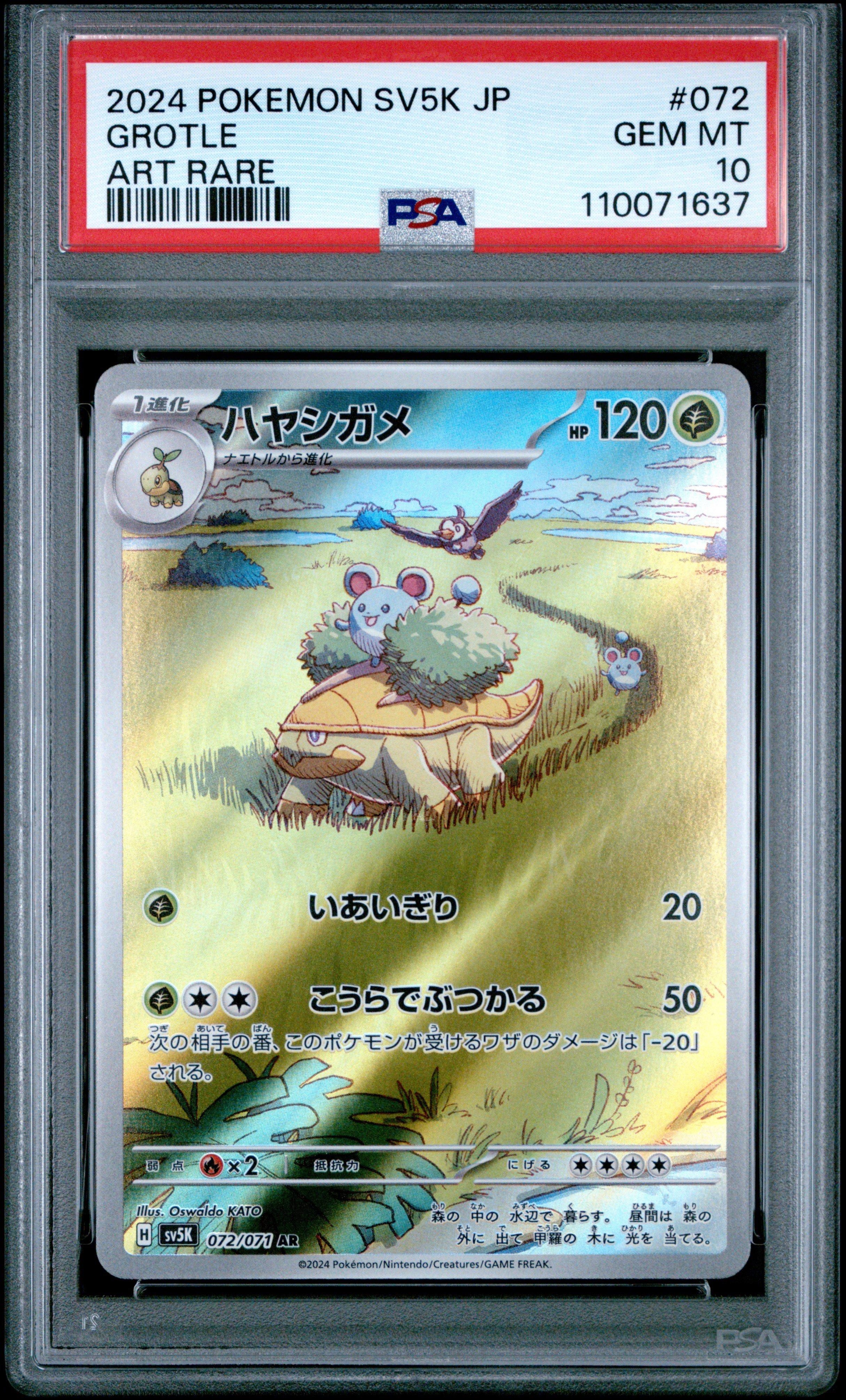 2024 Pokemon Japanese Sv5k-wild Force 072 Grotle Art Rare PSA 10