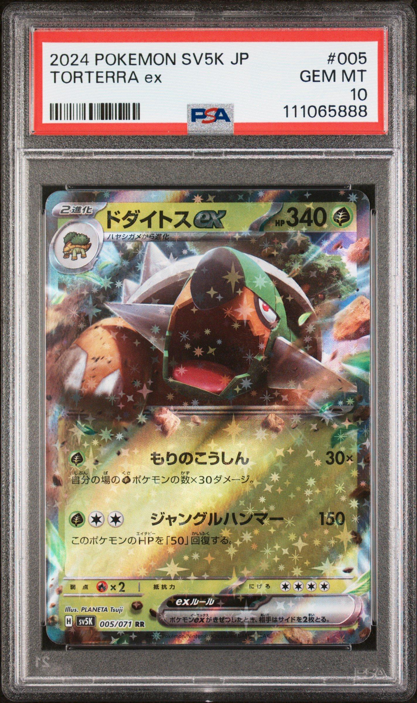 torterra ex pokemon card  185/162 ex has been Knocked Out Torterra ex | Temporal Forces