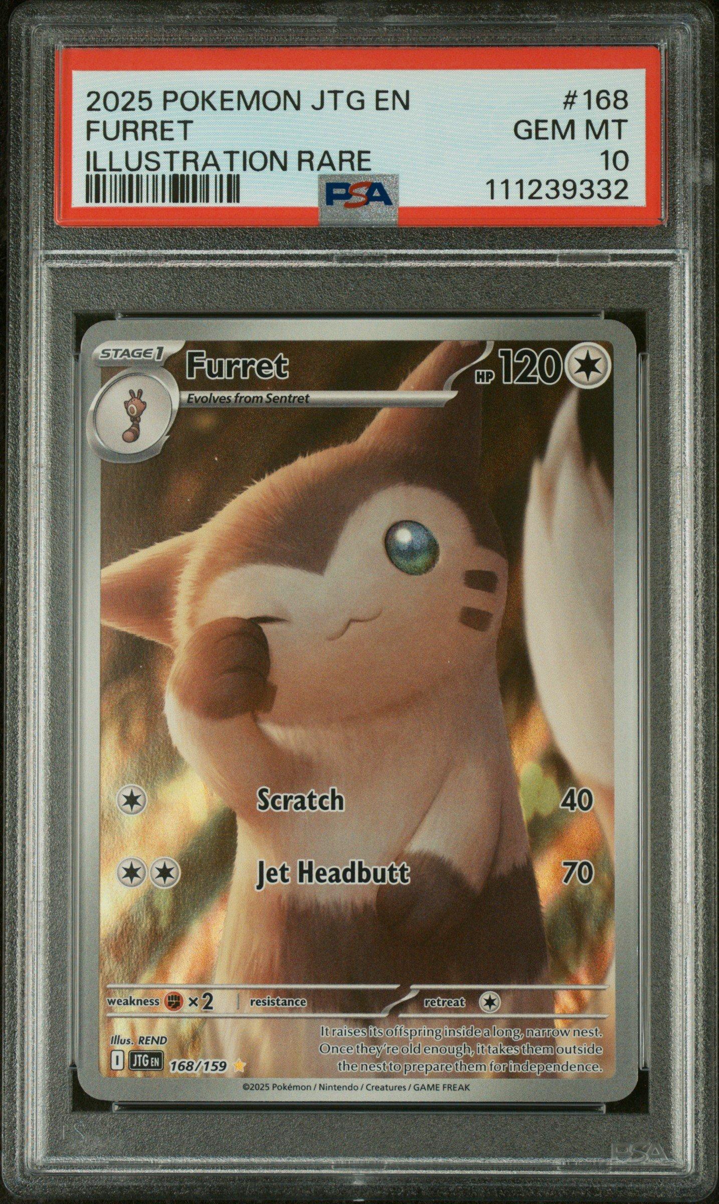 primal groudon pokemon card Jumbo Primal Groudon TCG Box Revealed! Possible hint to it's ability with  it's Omega Barrier. : r/pokemon