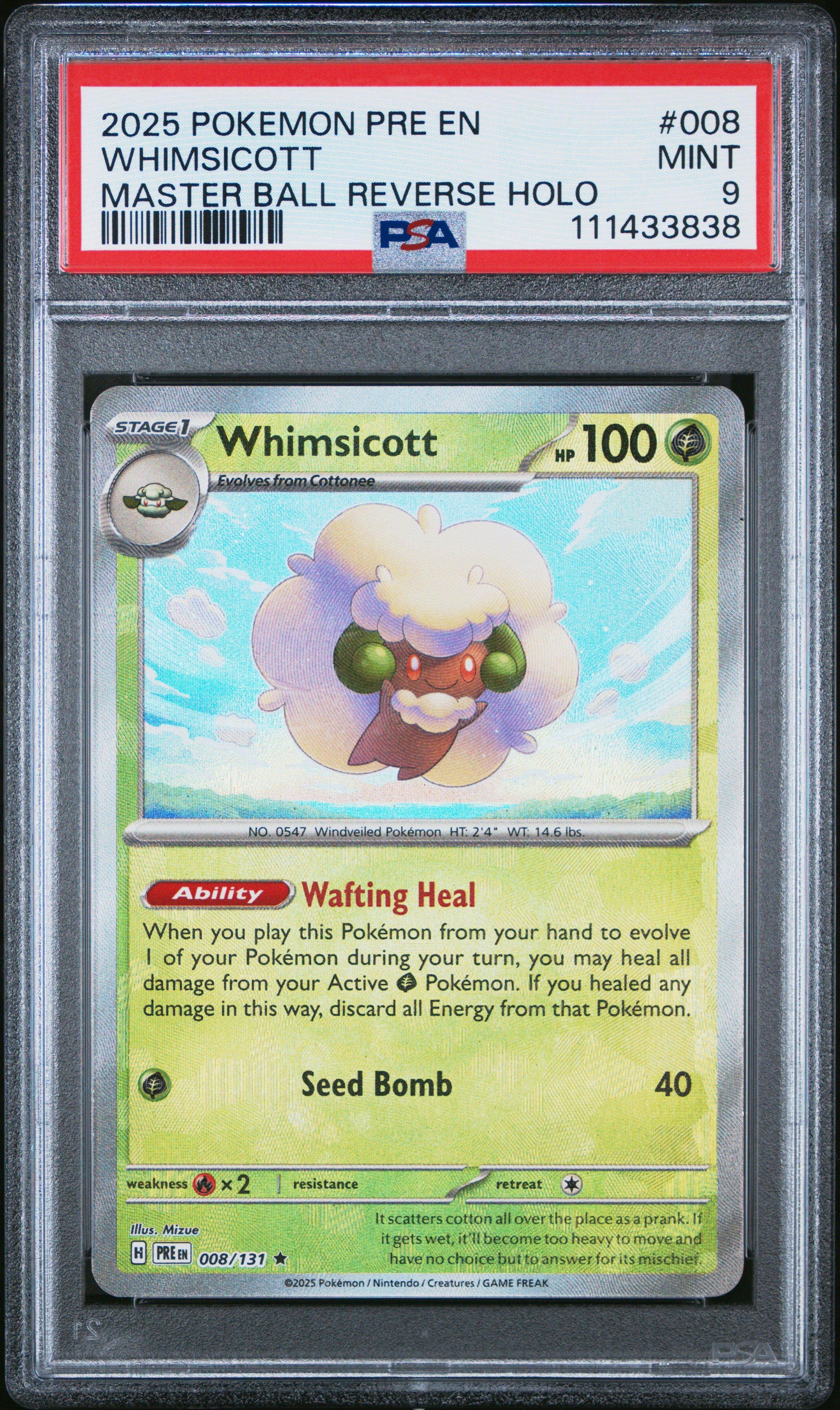 target pokemon card Pokemon First Partner Illustration Collections