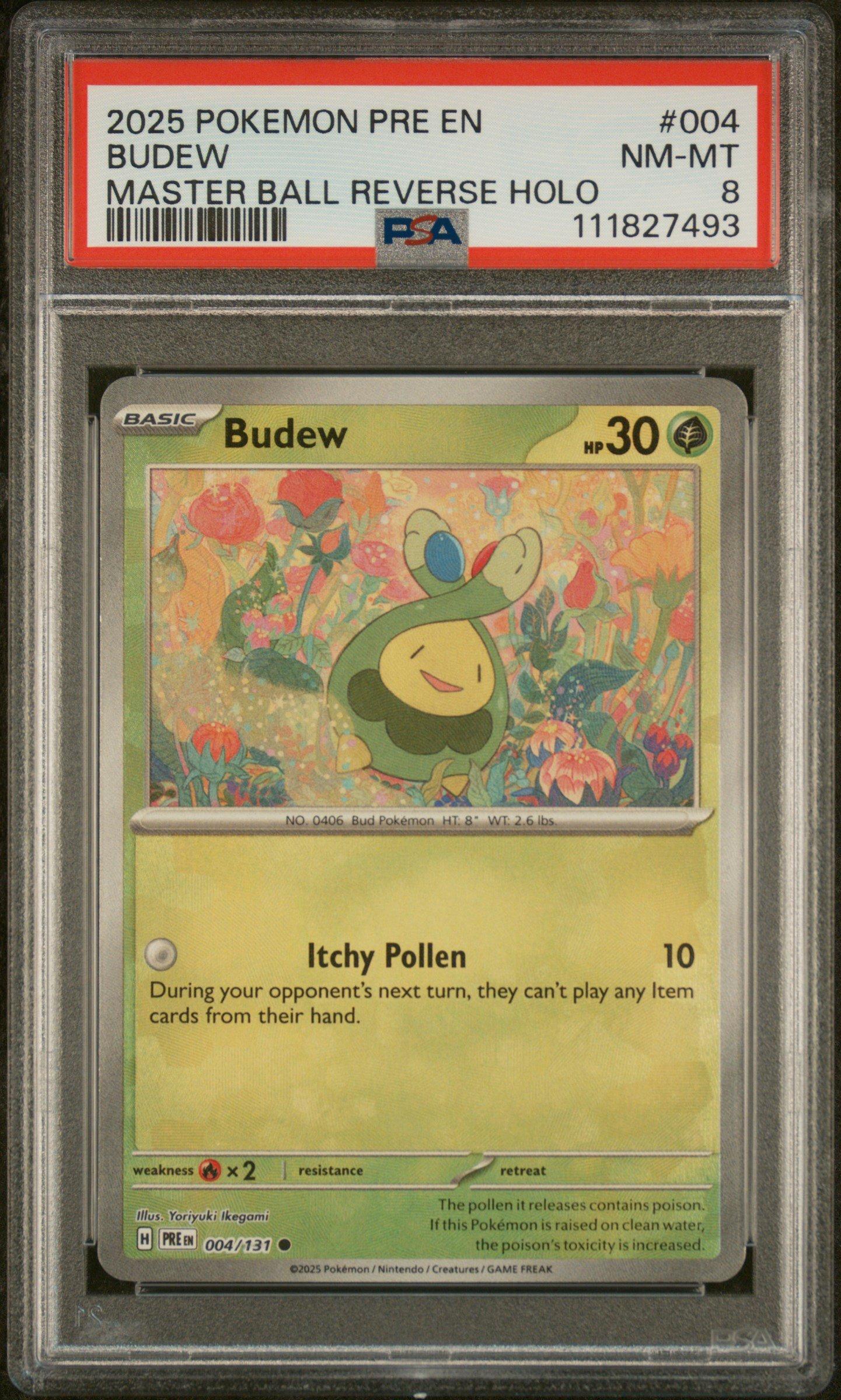 pokemon budew card CardBUDEWAR(196/193) (M2a) Japanese Single  Fandom Tokyo Pokmon Hit Points40 HP Form Pokemon TCG Budew 004/131 2025