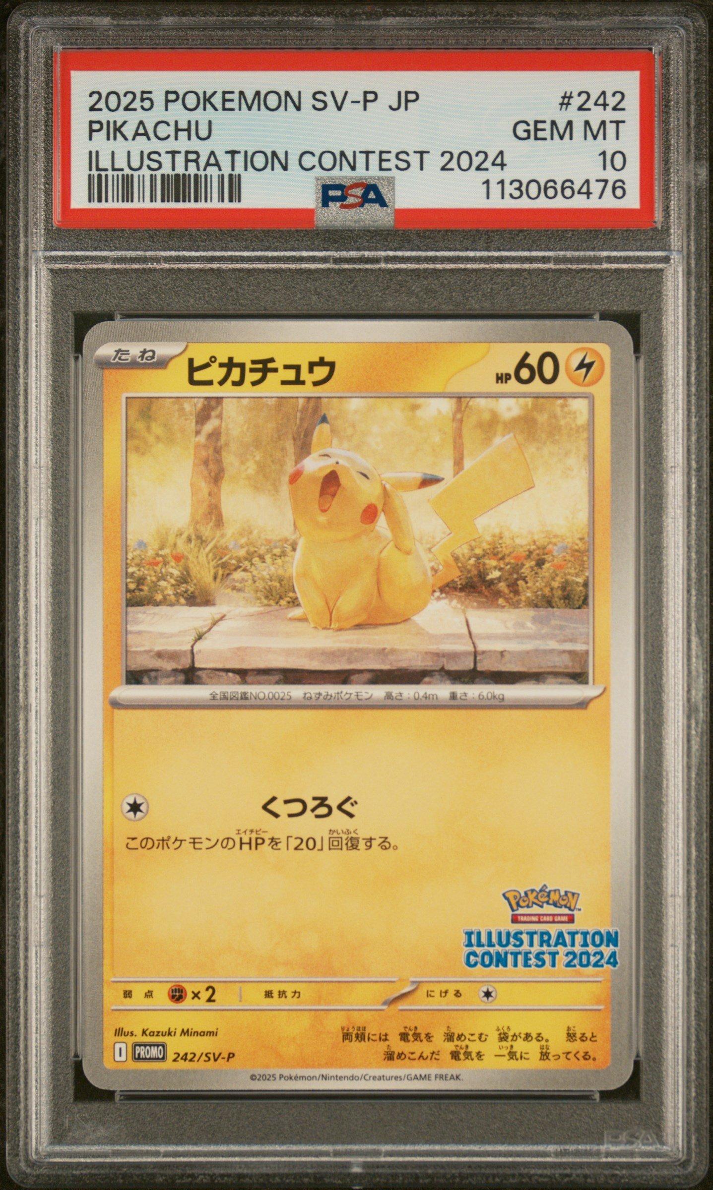 2025 Pokemon Japanese Sv-p Promo 242 Pikachu Illustration Contest 2024 PSA 10