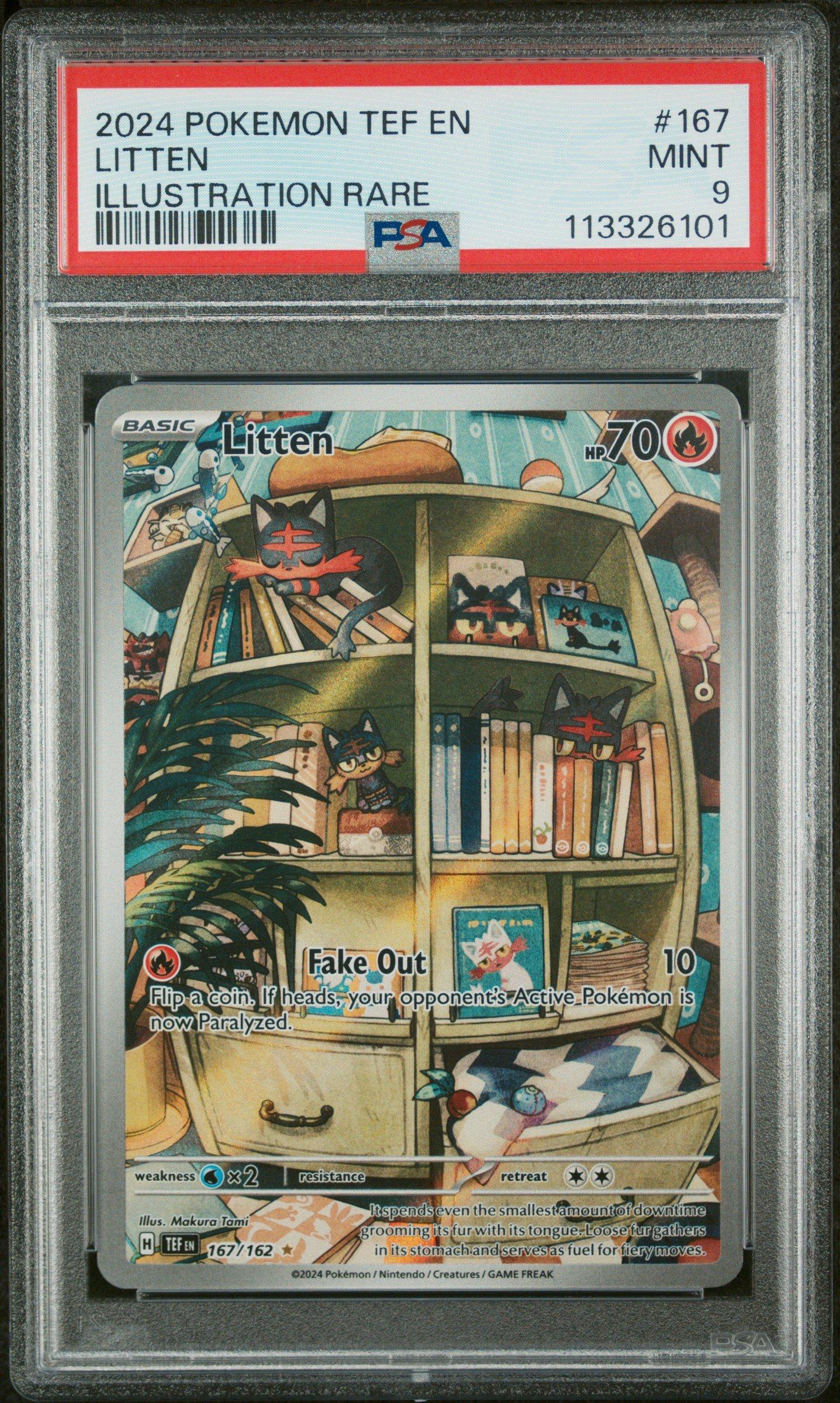 2024 Pokemon Tef En-temporal Forces 167 Litten Illustration Rare