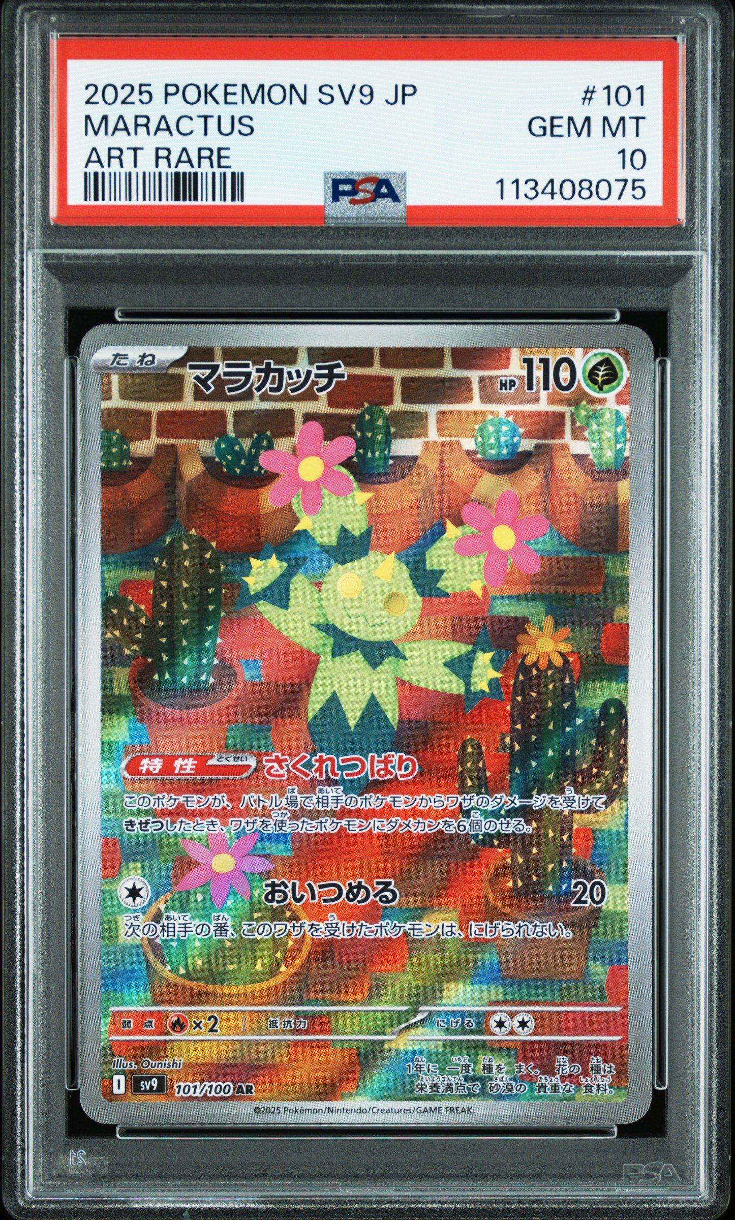 2025 POKEMON SV9 JP マラカッチ ART RARE 2025 Pokemon Japanese Sv9-battle Partners 101 Maractus Art Rare