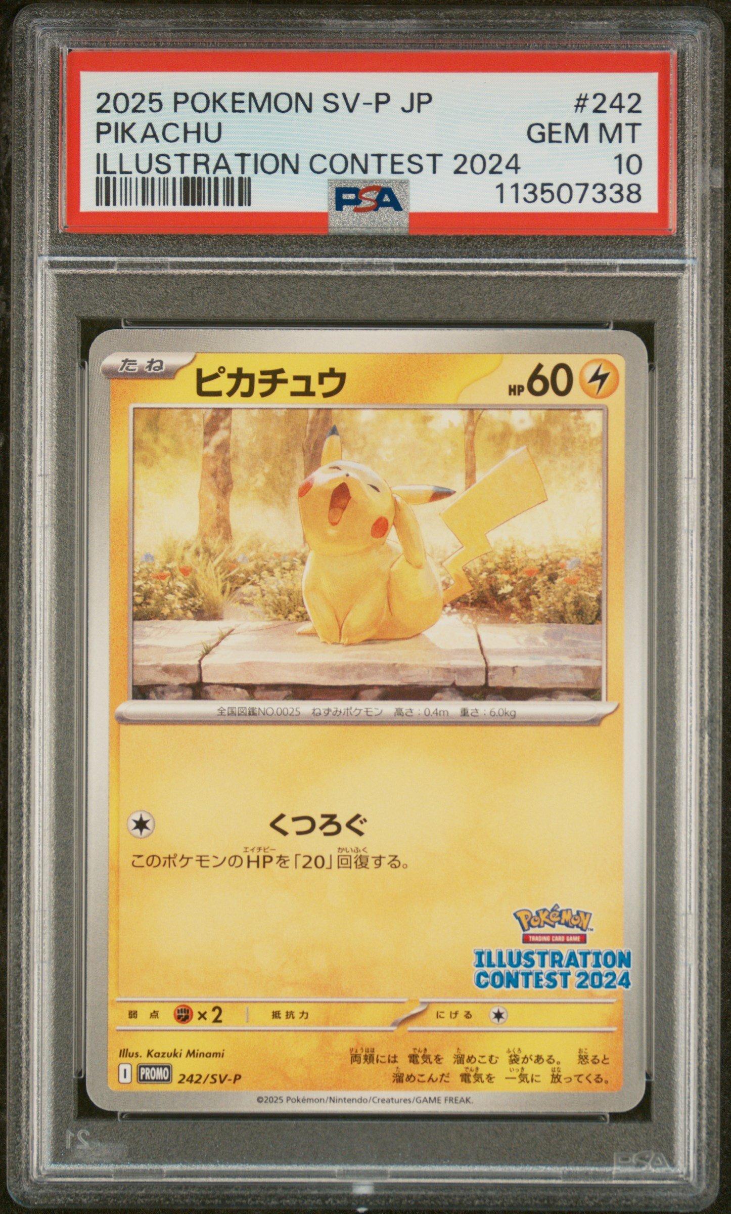 2025 Pokemon Japanese Sv-p Promo 242 Pikachu Illustration Contest
