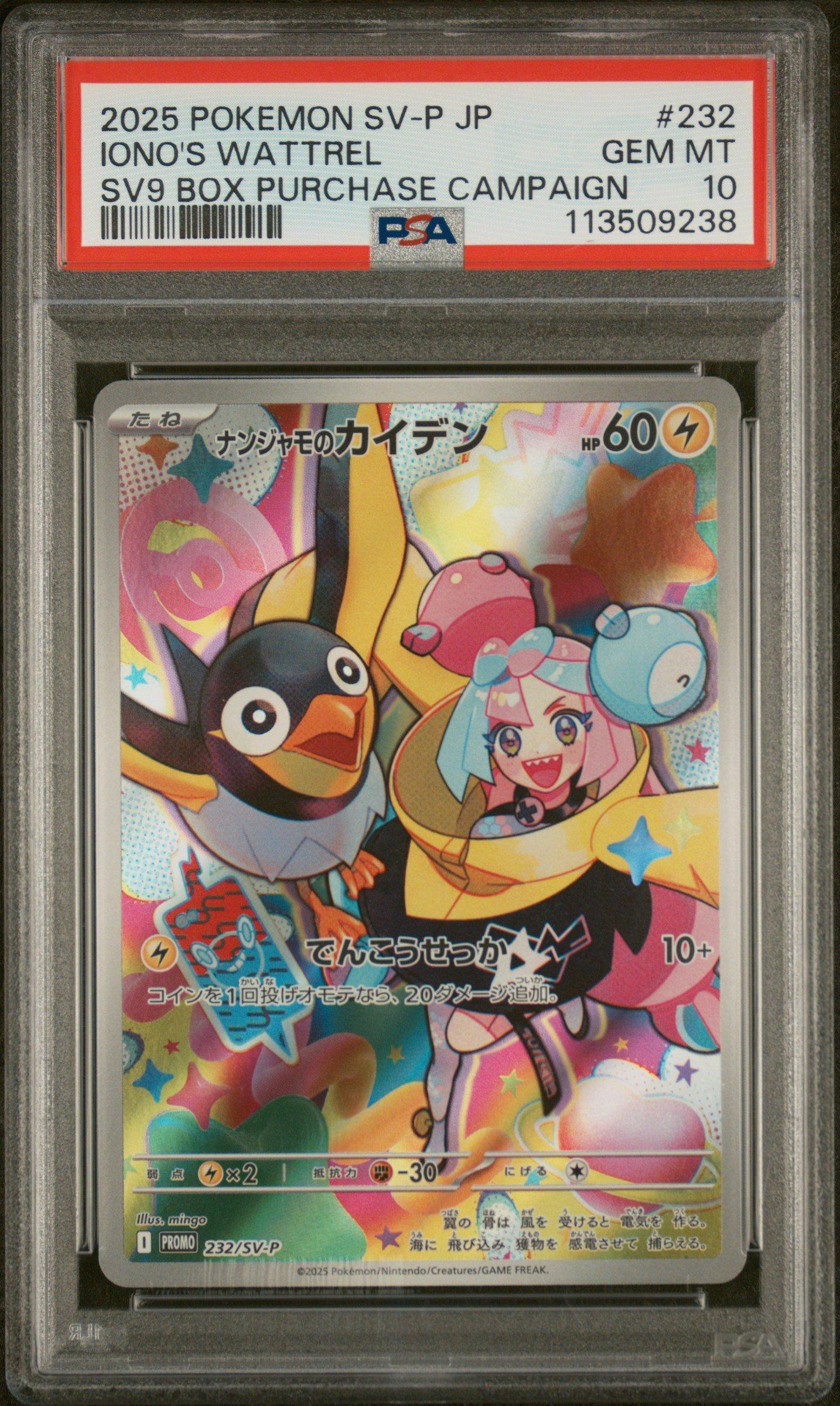 【momon】kannaway サルヴェ 2個セット 2025/10新入荷 2025 Pokemon Japanese Sv-p Promo 232 Iono's Wattrel Battle