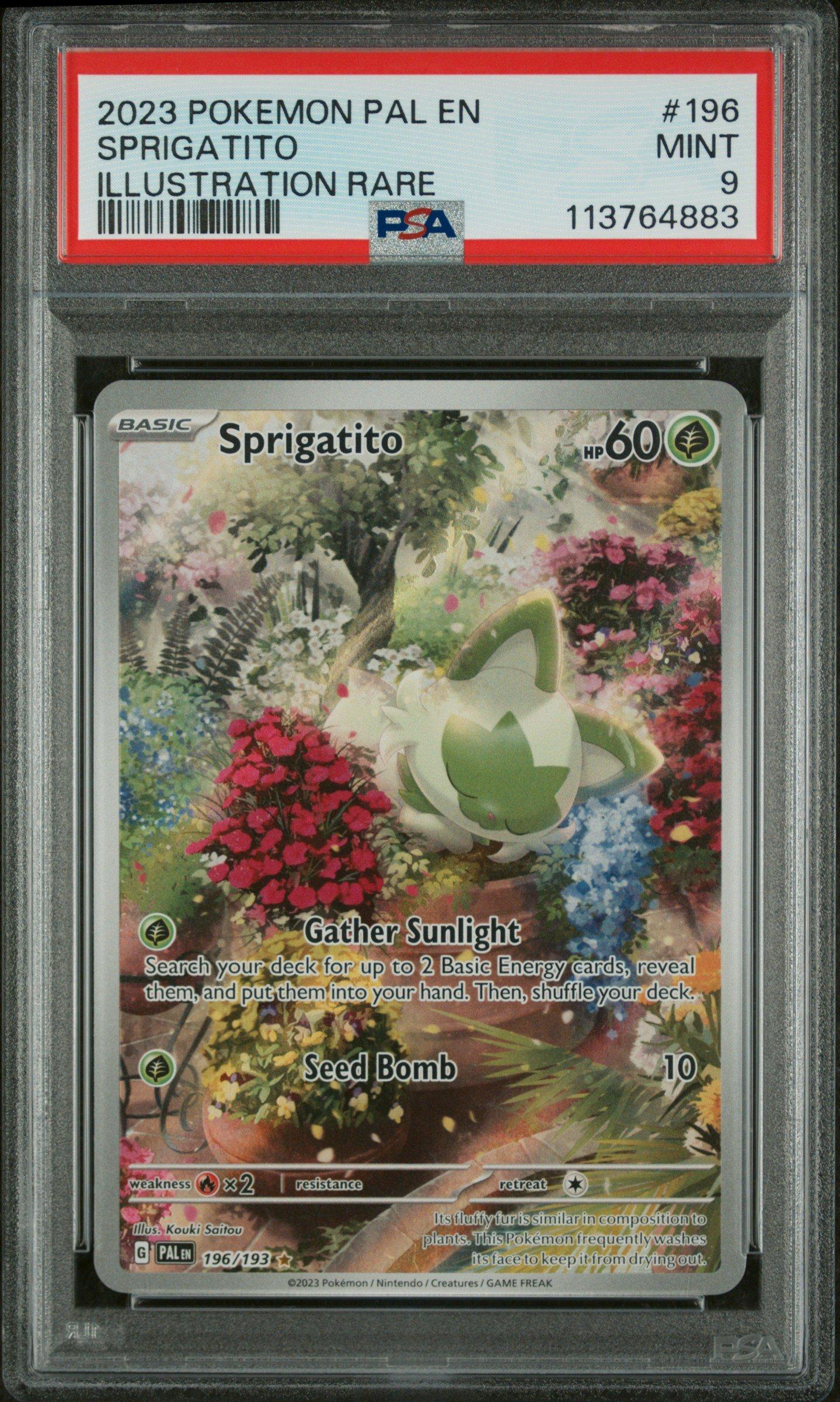 2023 Pokemon Pal En-paldea Evolved 196 Sprigatito Illustration Rare PSA 9