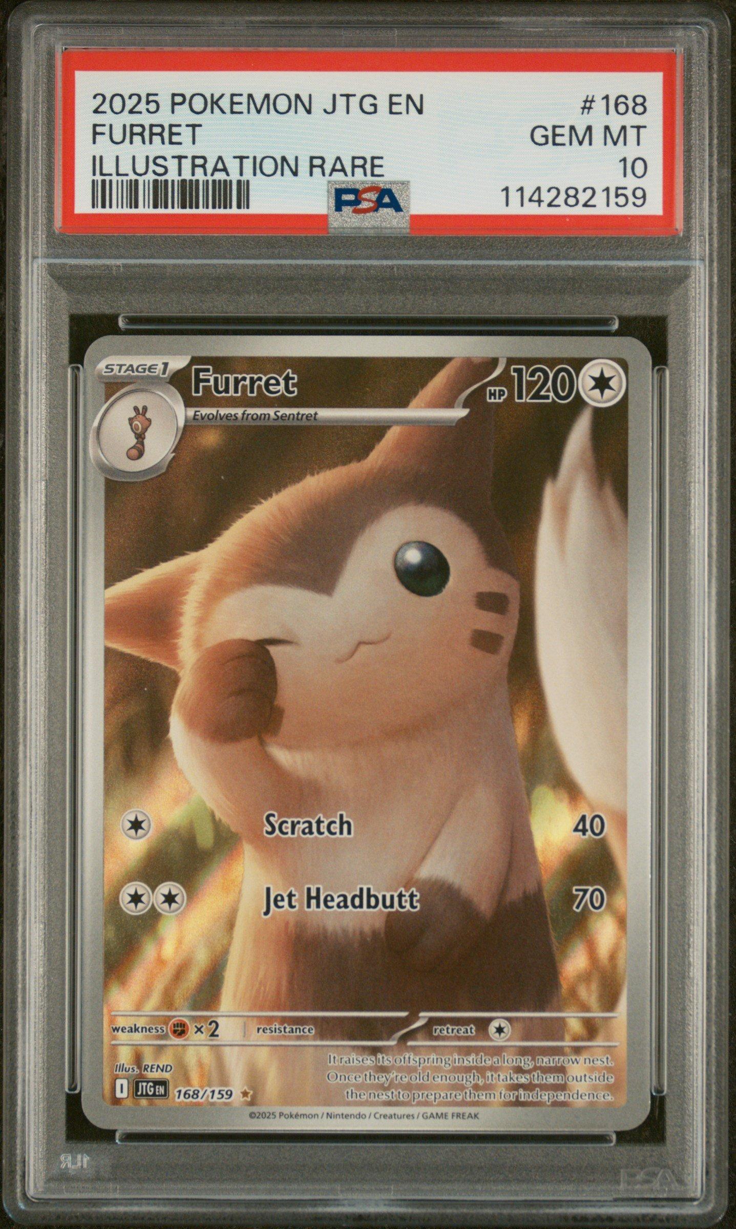 2025 Pokemon Jtg En-journey Together 168 Furret Illustration Rare PSA 10  Graded Card | GameStop
