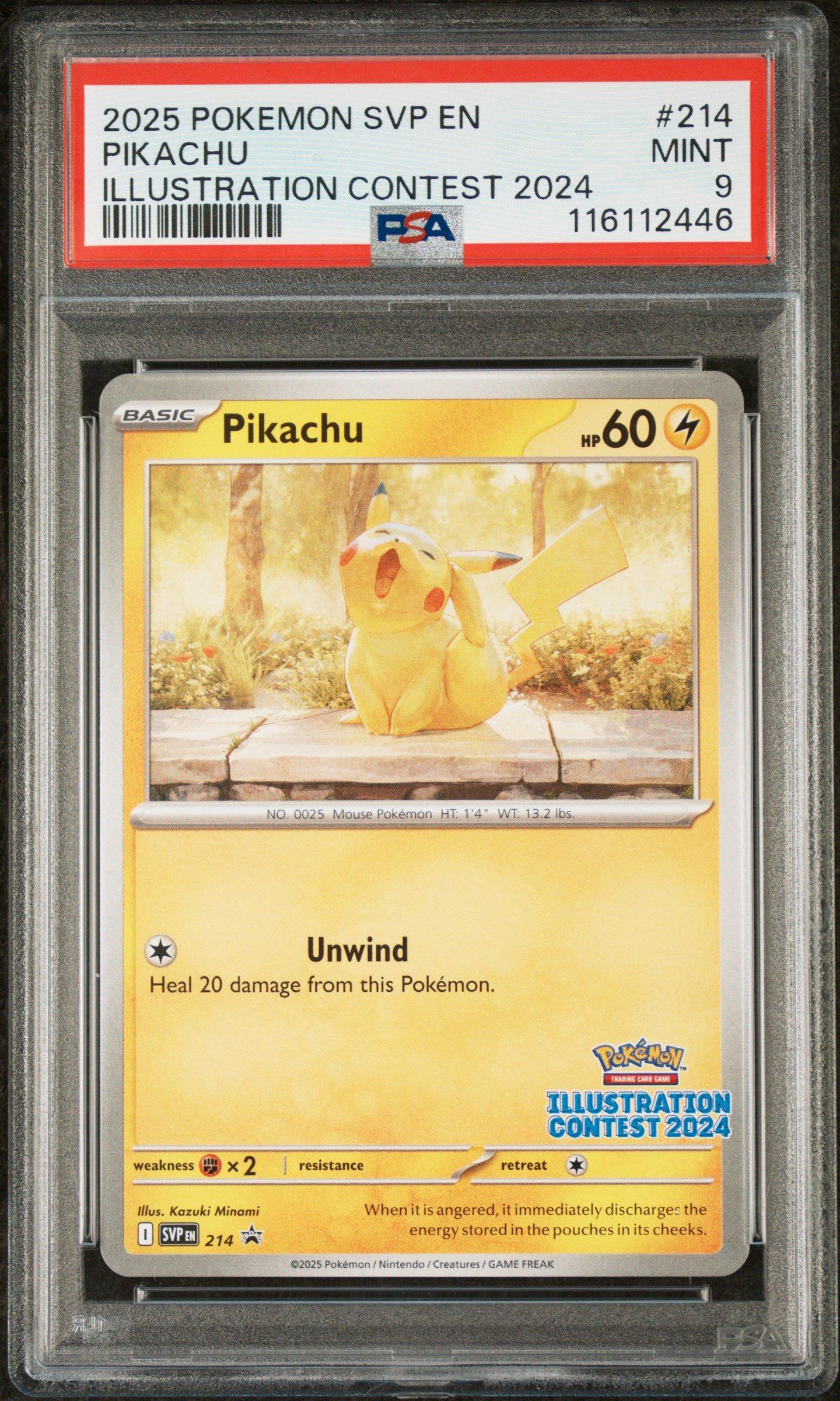 2025 Pokemon Svp En-sv Black Star Promo 214 Pikachu Illustration