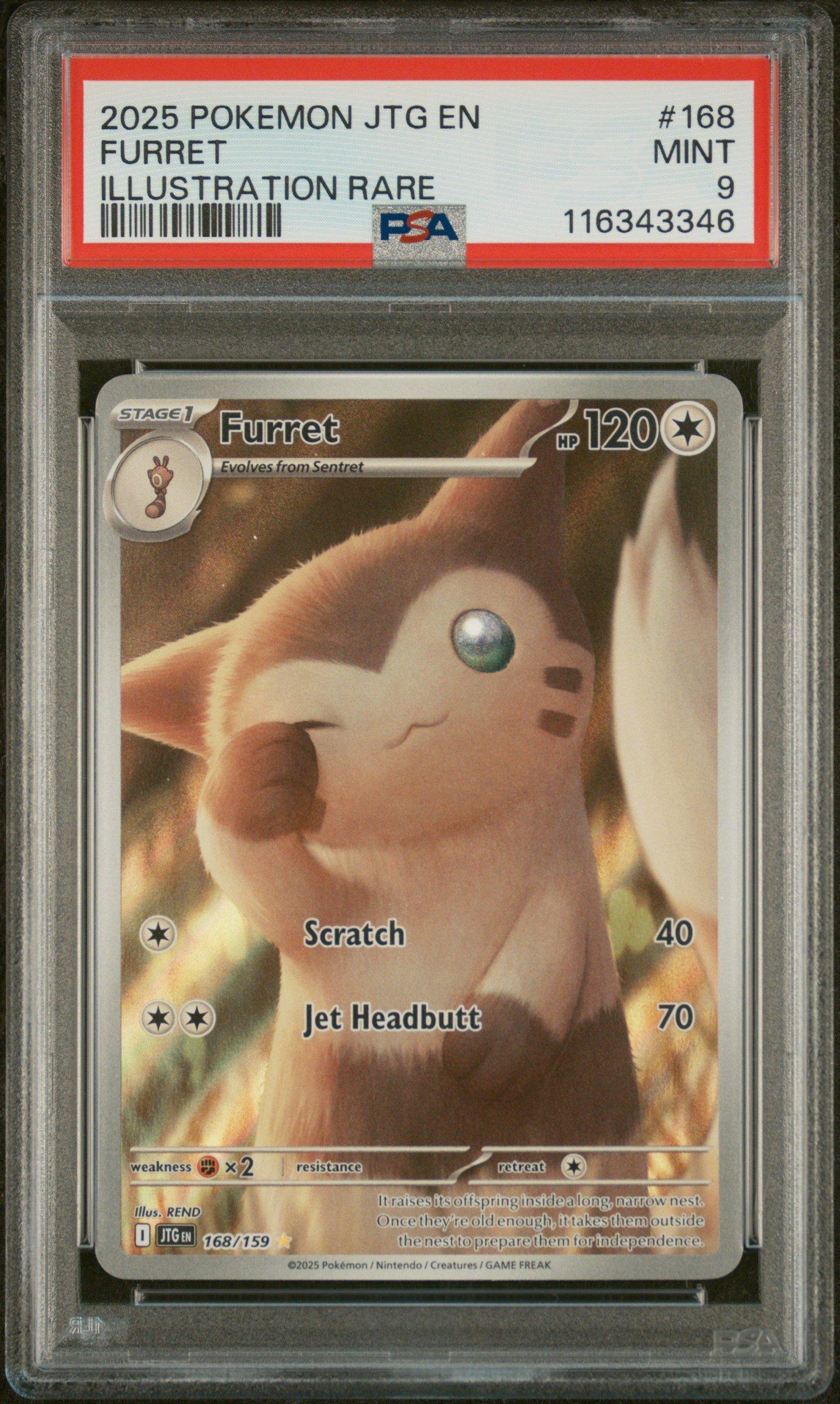 2025 Pokemon Jtg En-journey Together 168 Furret Illustration Rare PSA