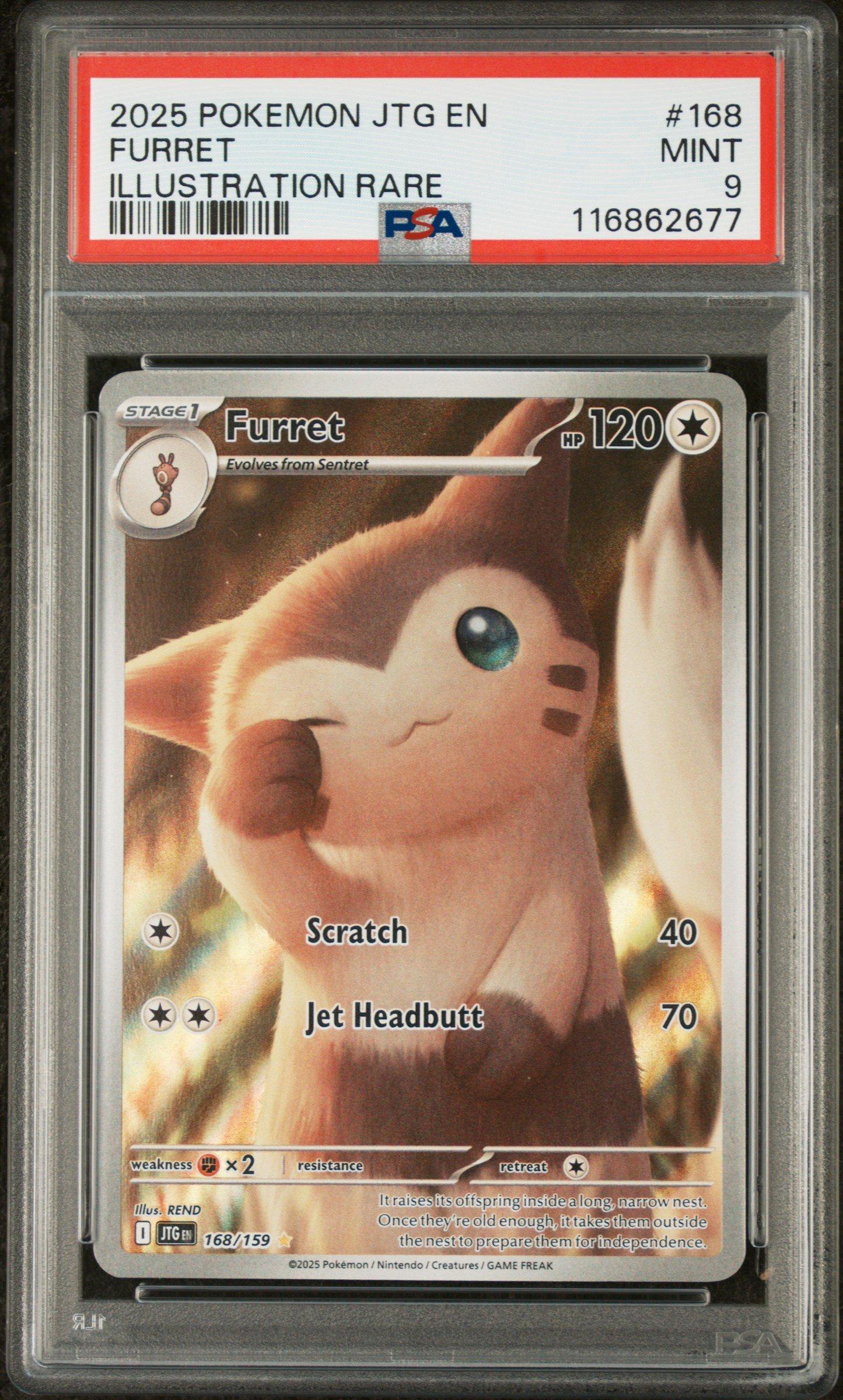 2025 Pokemon Jtg En-journey Together 168 Furret Illustration Rare PSA 9  Graded Card | GameStop