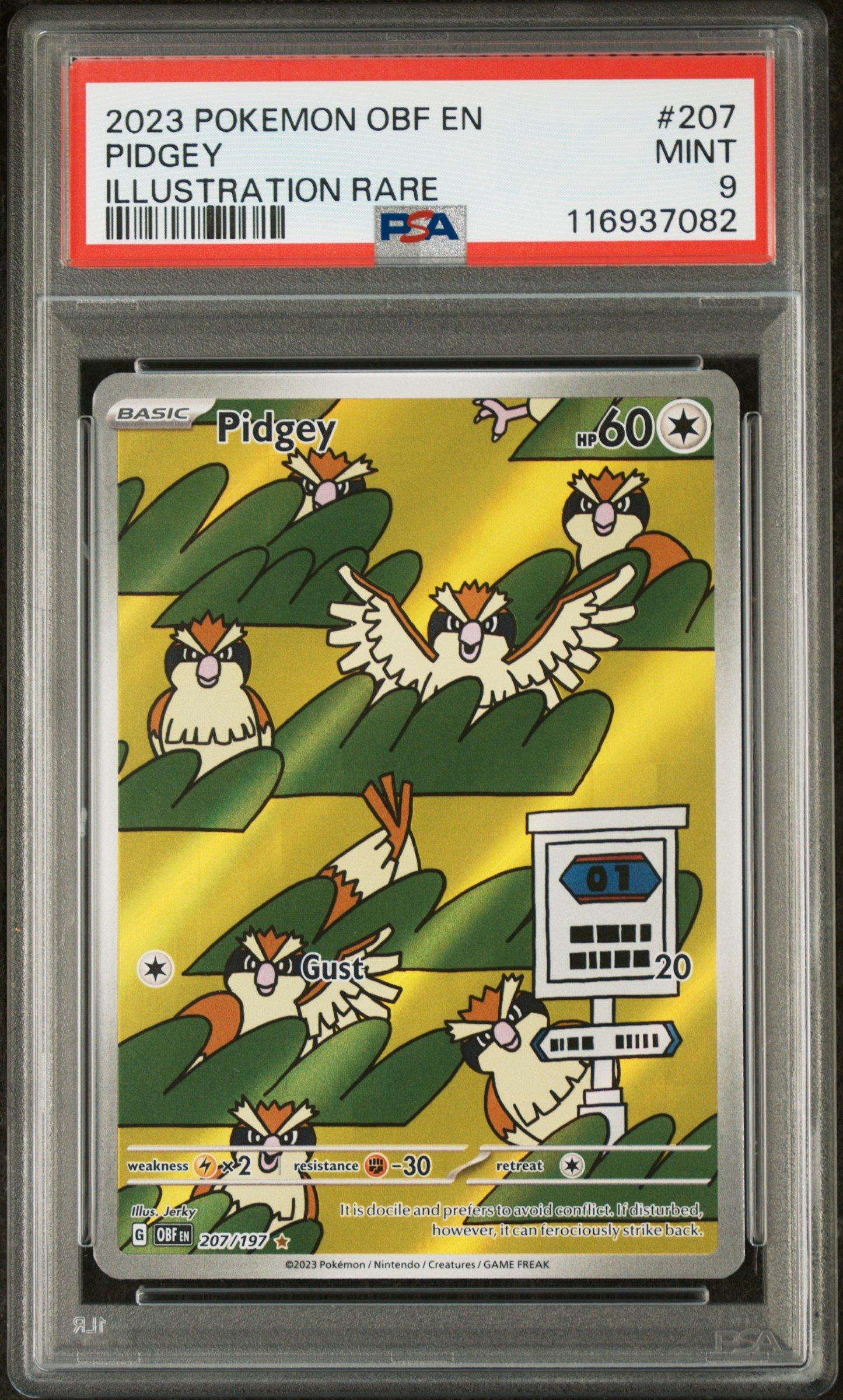 2023 Pokemon Obf En-obsidian Flames 207 Pidgey Illustration Rare PSA 9  Graded Card | GameStop