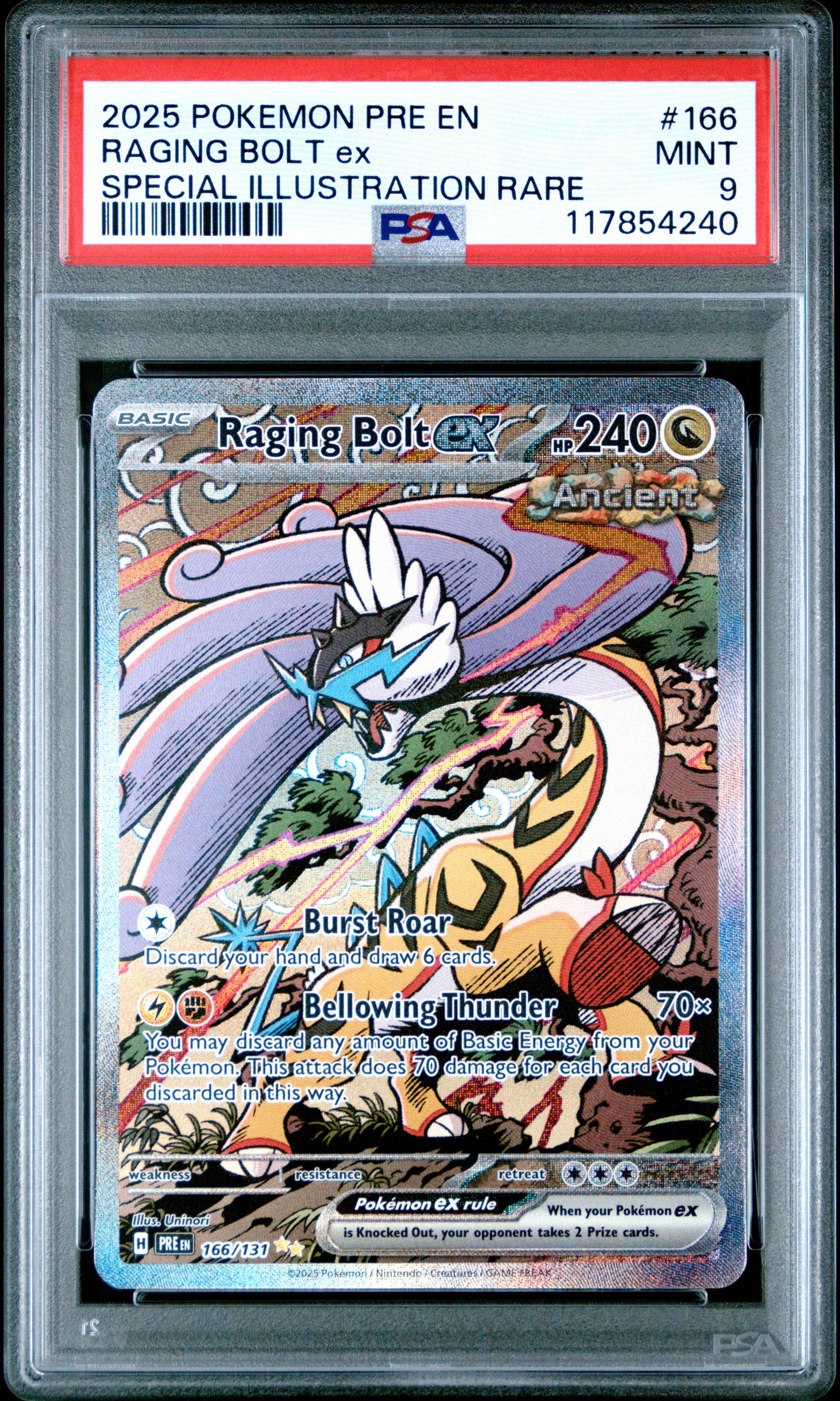 trading cards graded Graded Sports Card Display Case