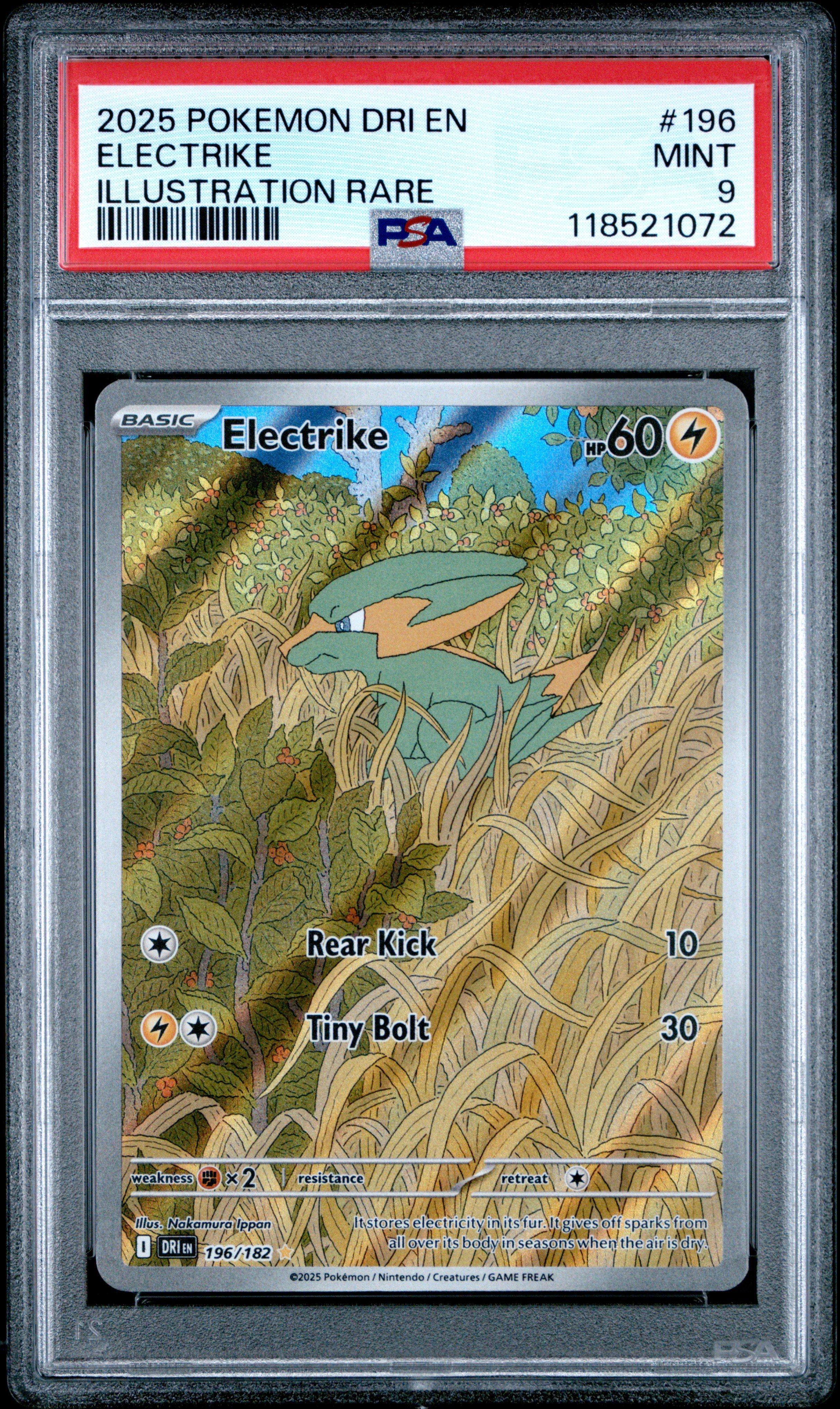 2025 Pokemon Dri En-destined Rivals 196 Electrike Illustration Rare PSA