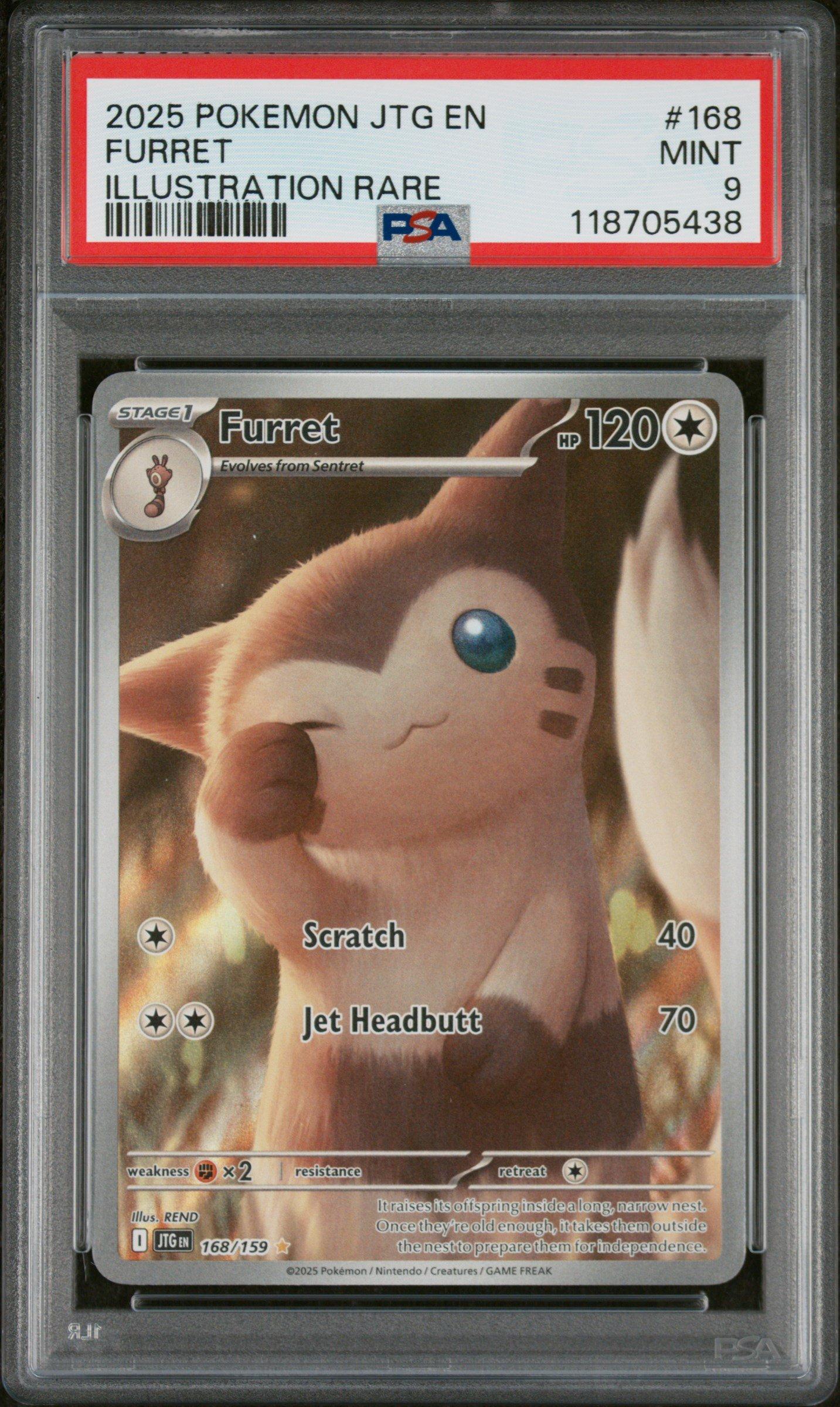 2025 Pokemon Jtg En-journey Together 168 Furret Illustration Rare