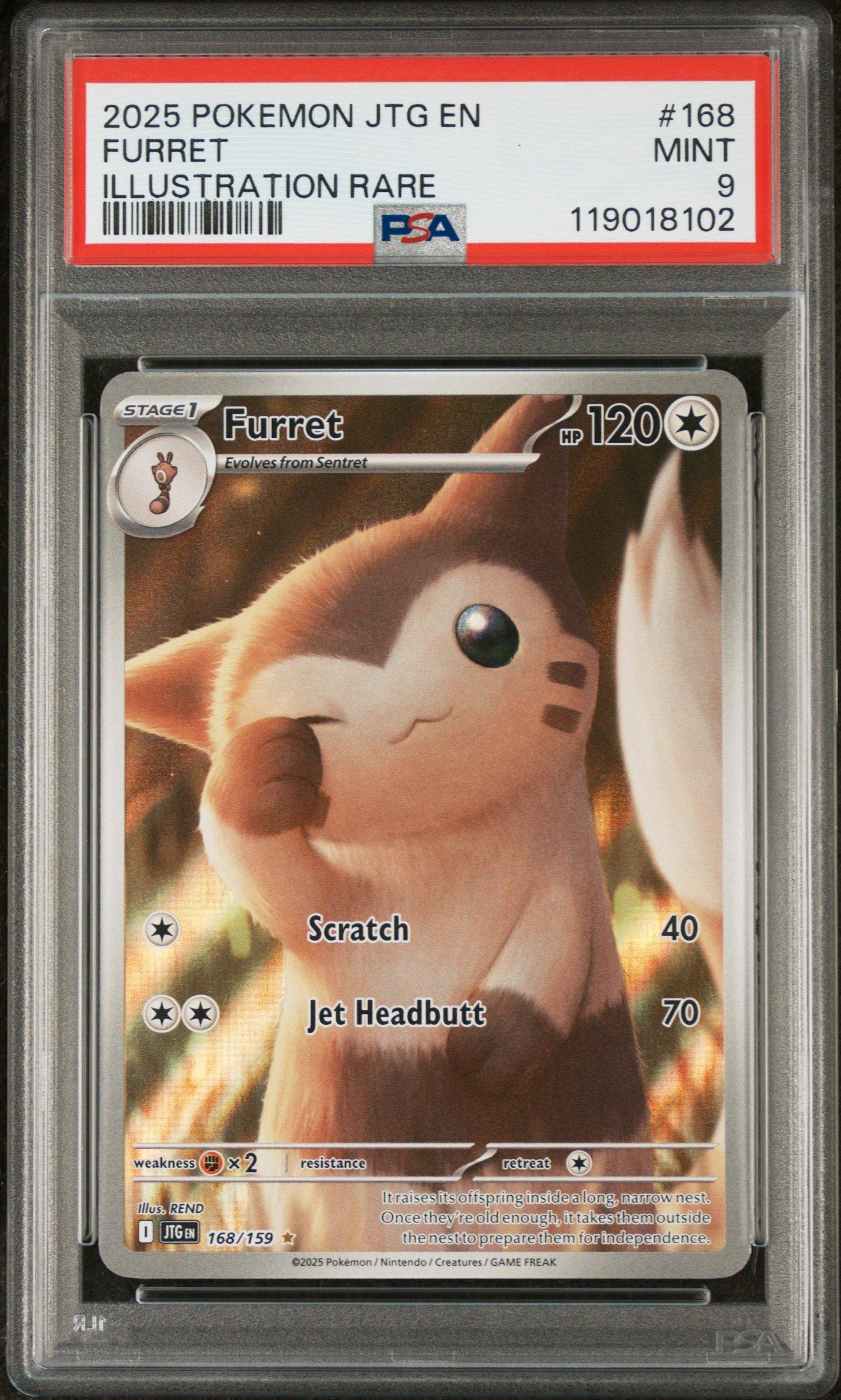 pokemon furret card GEM MT 10 Consecutive Numbers PSA10 Furret AR