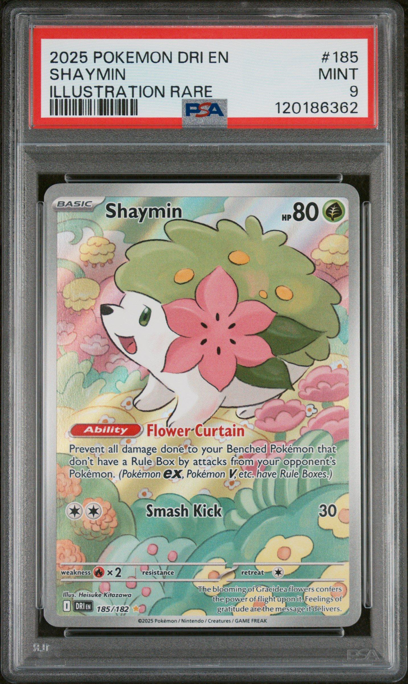 ガーディ　psa9 シャイニーコレクション 2025 Pokemon Dri En-destined Rivals 185 Shaymin Illustration Rare
