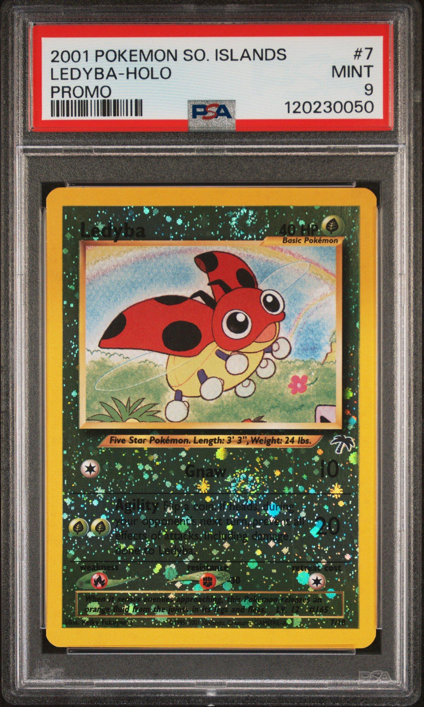 southern island pokemon cards Complete Set have for your premier collection. pokemon cards island set Courtyard