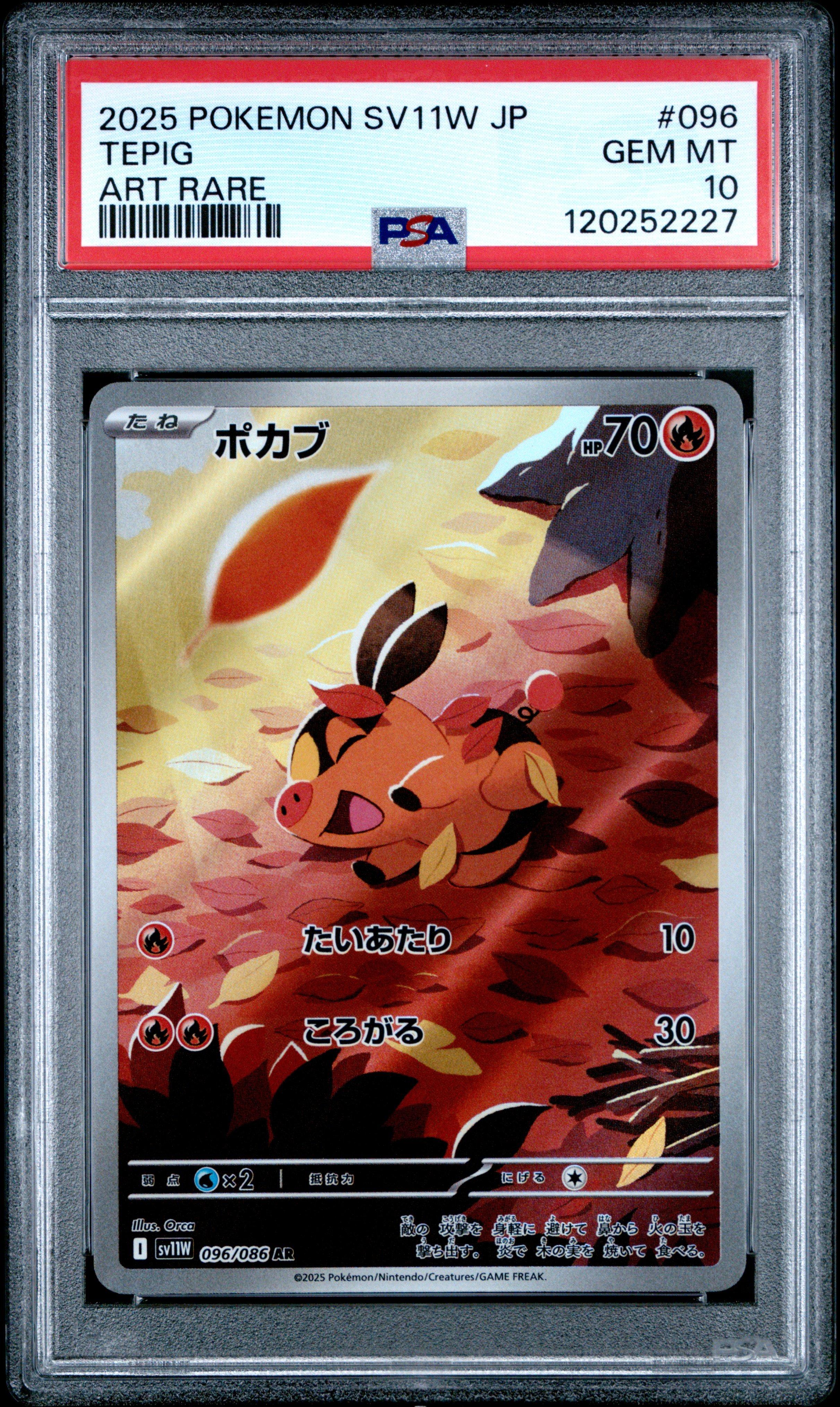 2025 Pokemon Japanese Sv11w-white Flare 096 Tepig Art Rare PSA 10