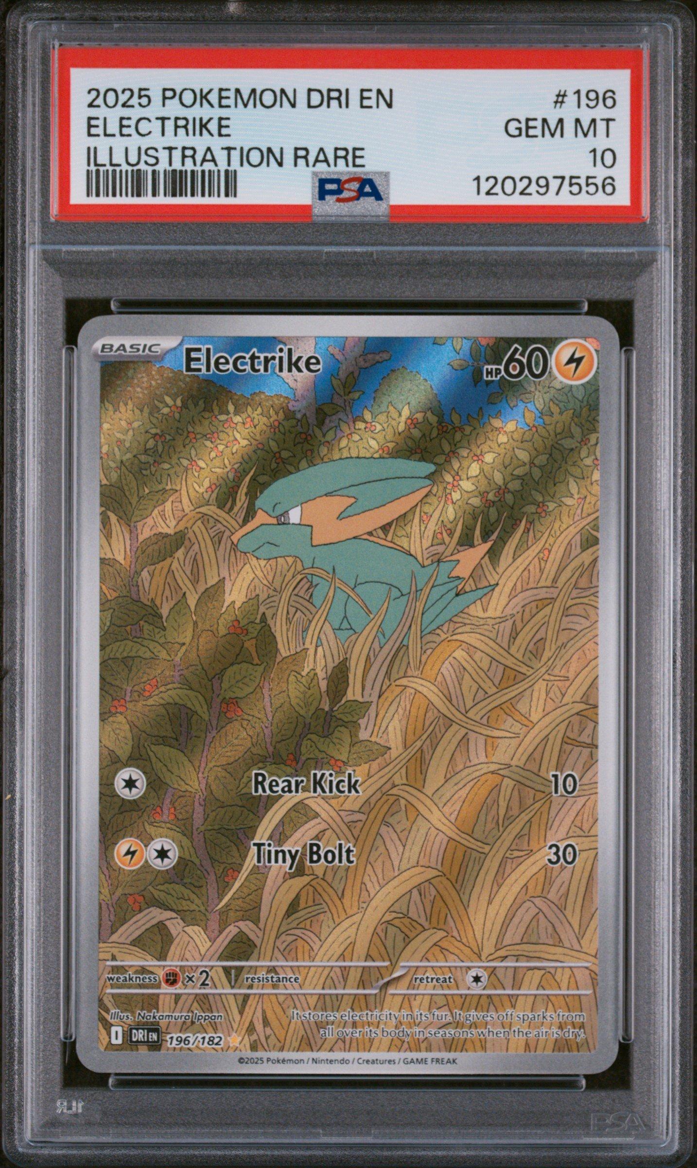 2025 Pokemon Dri En-destined Rivals 196 Electrike Illustration Rare PSA