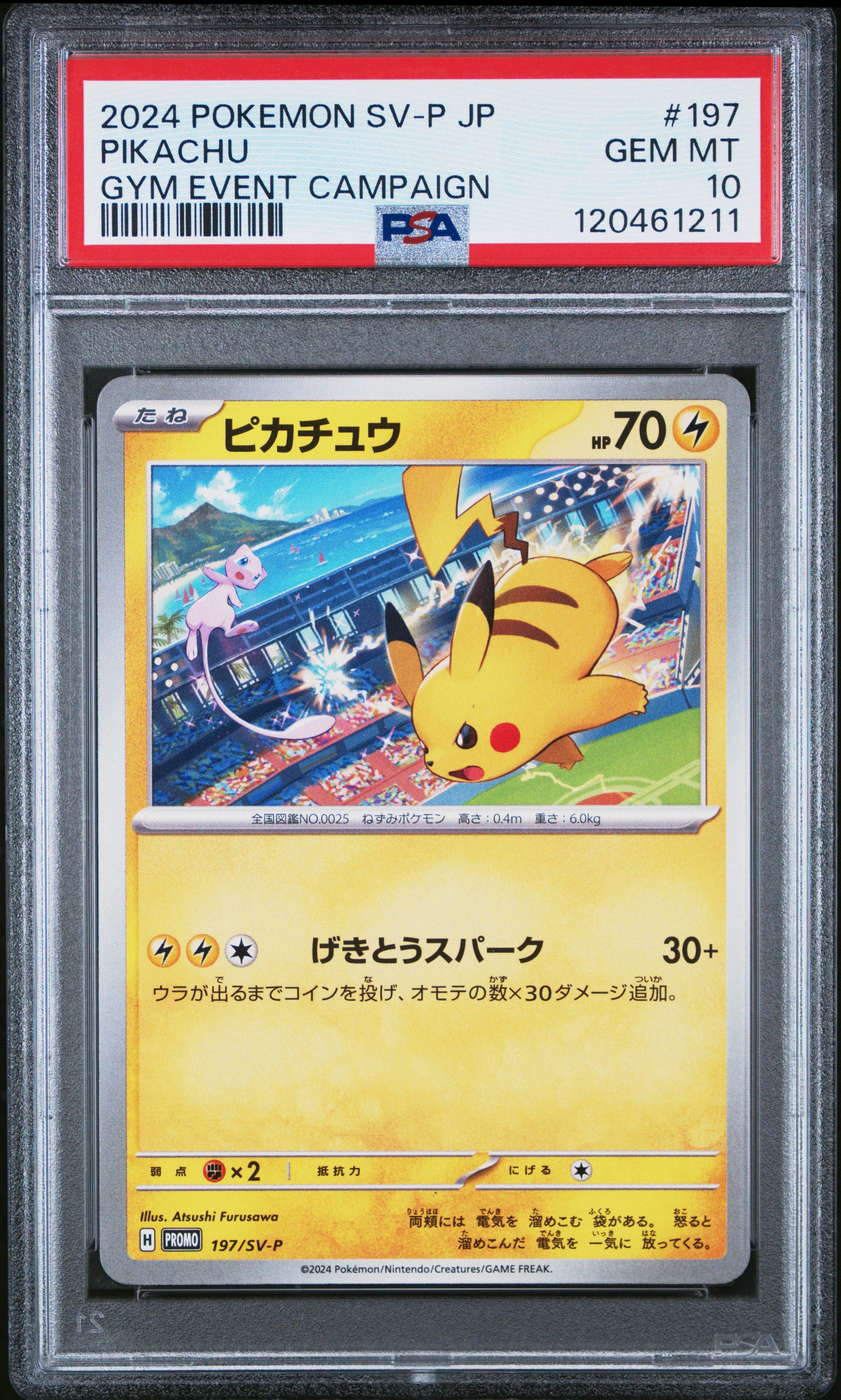 2024 Pokemon Japanese Sv-p Promo 197 Pikachu Gym Event Campaign PSA