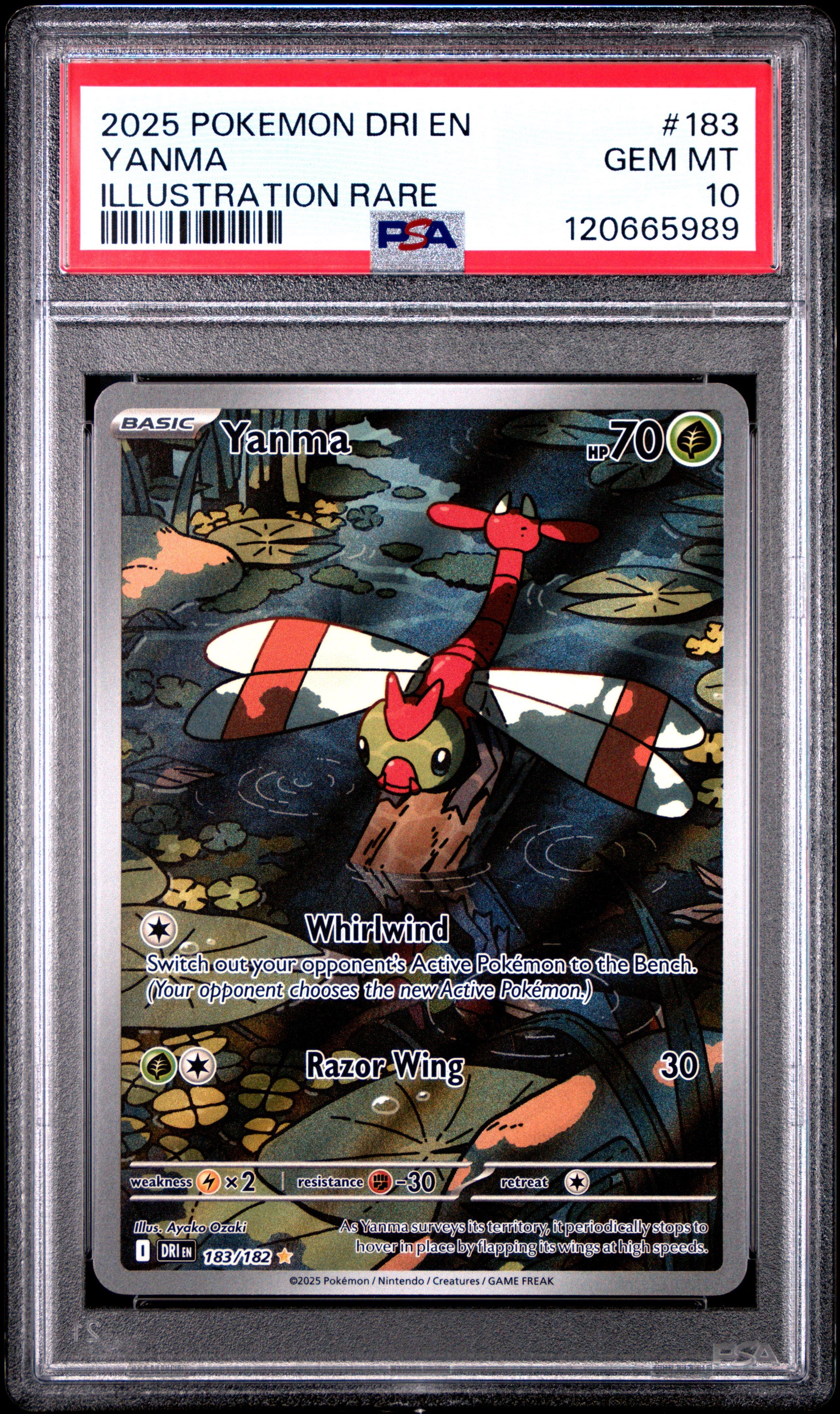 2025 ポケモンカード ヤンマンマ　アートレア　AR psa10 2025 Pokemon Dri En-destined Rivals 183 Yanma Illustration Rare