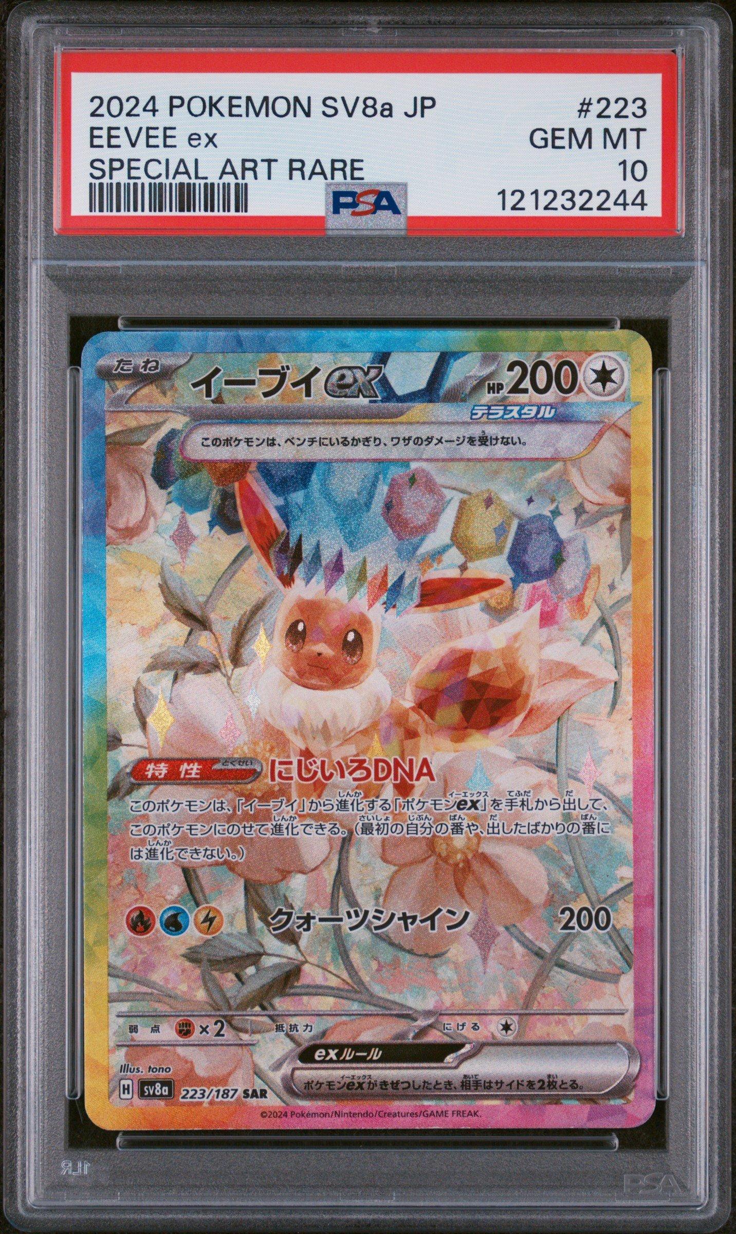 2024 ポケモンカバトル　イーブイ　プロモ　PSA10 2024 ポケモンカバトル イーブイ プロモ PSA10 PSA10 イーブイ プロモ