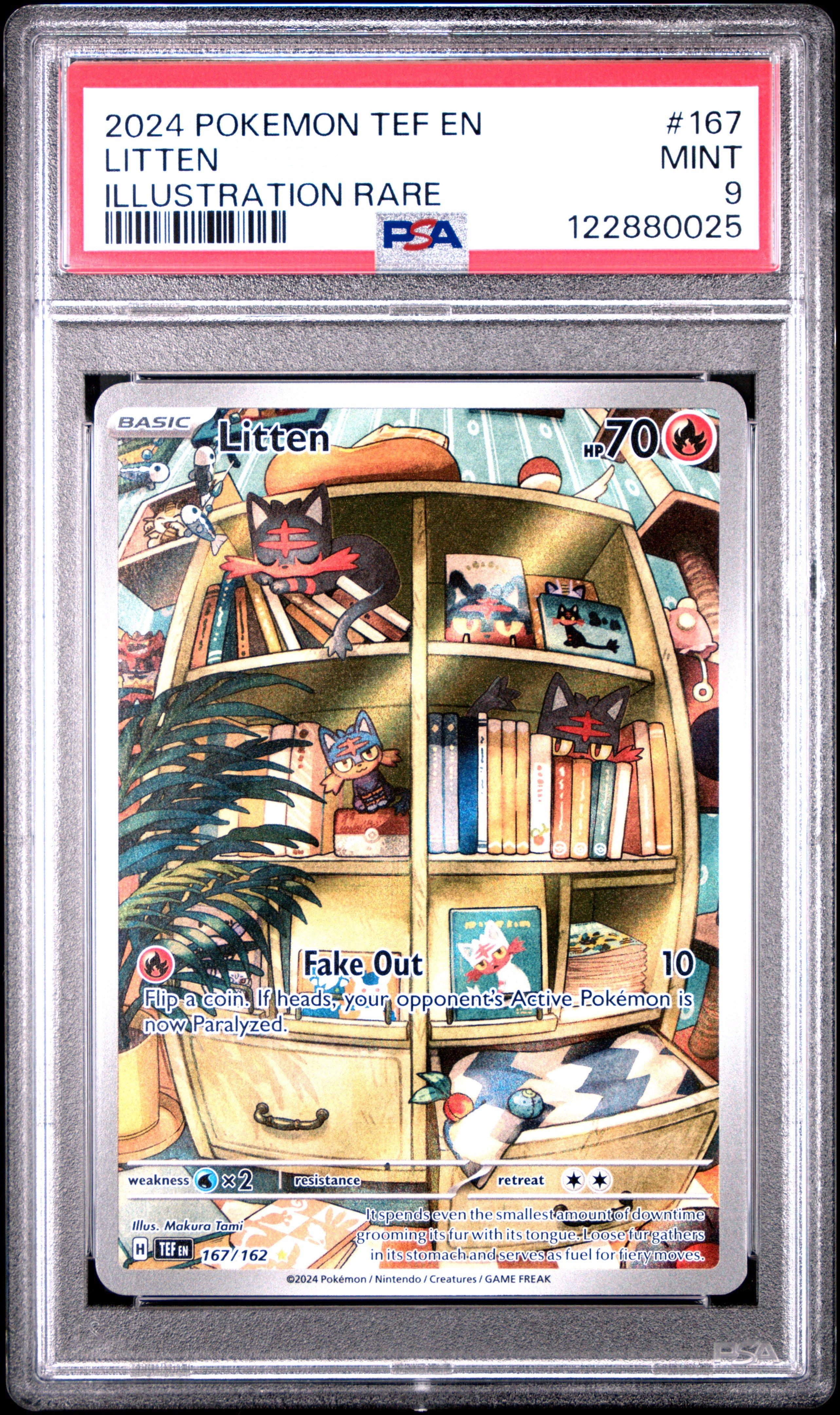 2024 Pokemon Tef En-temporal Forces 167 Litten Illustration Rare
