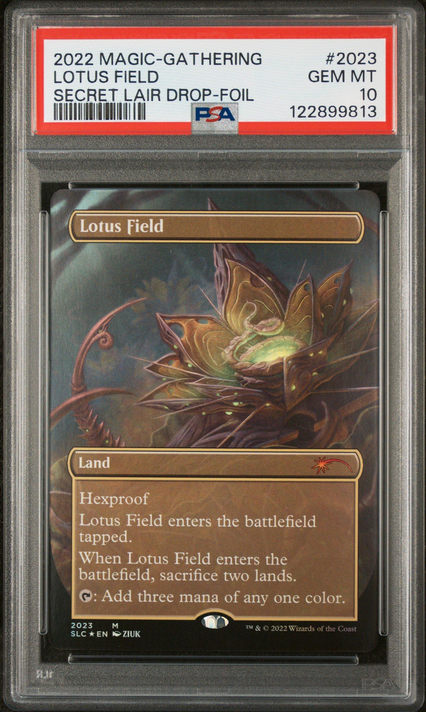 PSA10 サメ台風 Secret Lair Countdown foil PSA10 サメ台風 Secret