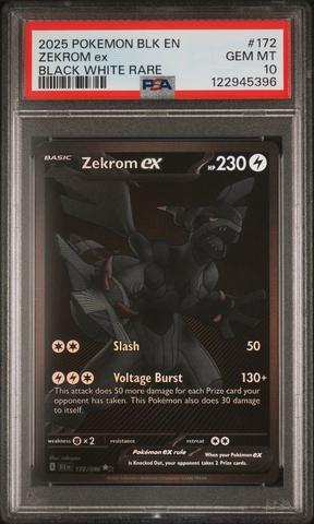 『PSA10』ゼクロム ex #174 BW RARE GEM MT 10 PSA10』ゼクロム ex #174 BW RARE GEM MT 10 PSA10』ゼクロム ex #174