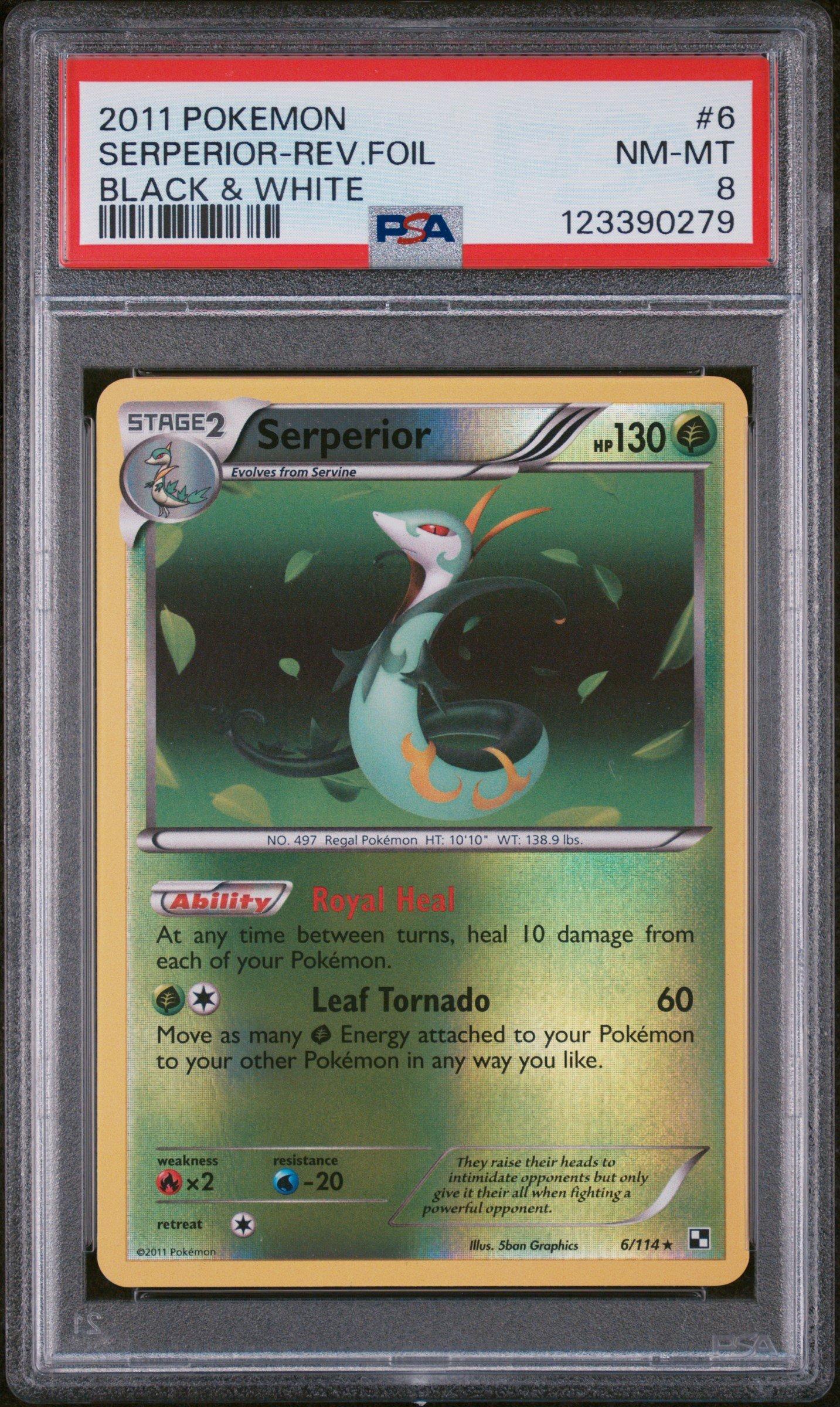 2011 Pokemon Black & White 6 Serperior-reverse Foil PSA 8