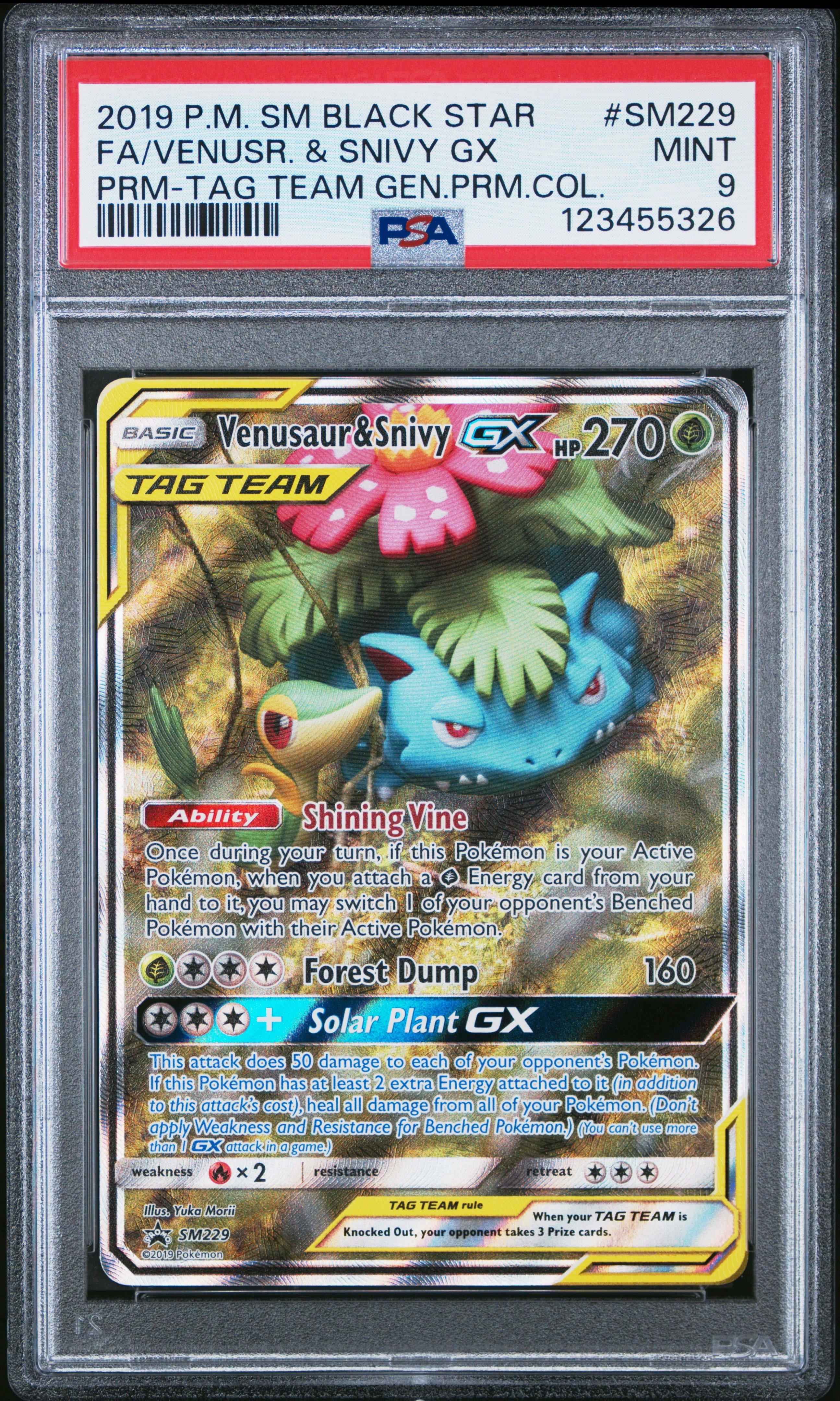 2019 Pokemon Sm Black Star Promo Sm229 Full Art/venusaur & Snivy