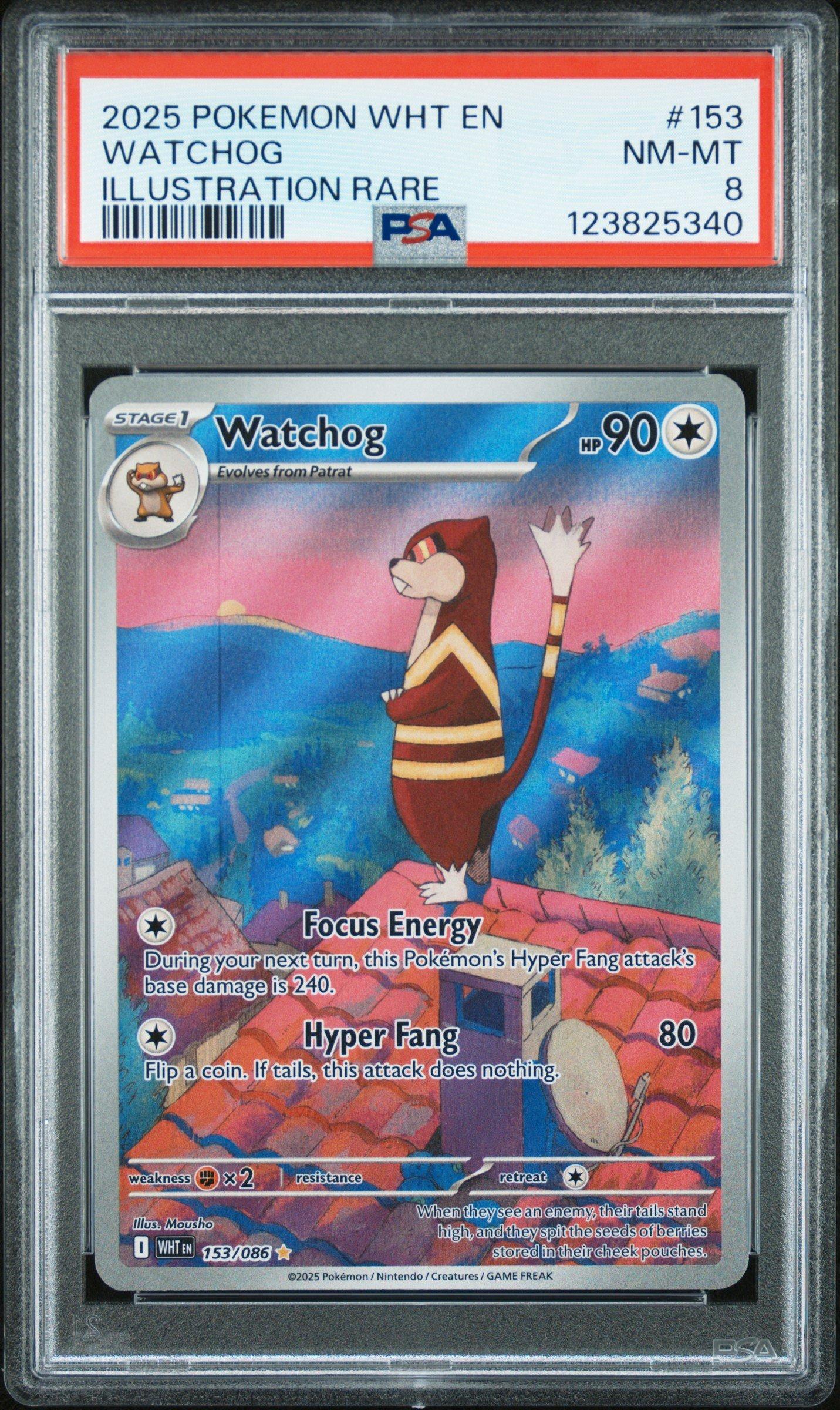 holographic mewtwo pokemon card Original Mewtwo Pokmon Rare Holo Card