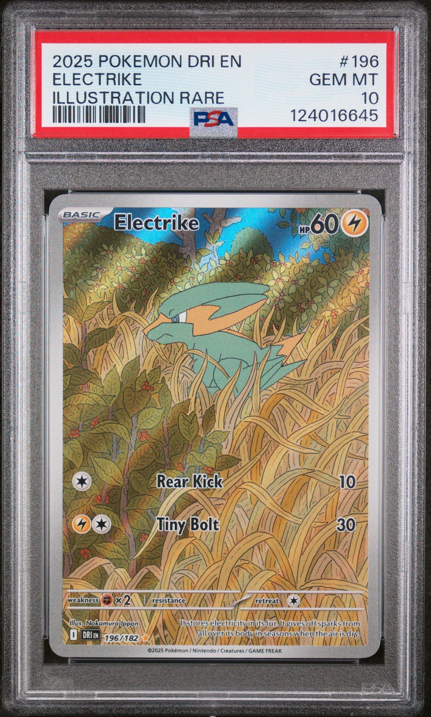 ディグダ カードe PSA10 WEB ディグダ カードe PSA10 WEB ディグダ