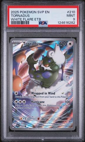 2023 Pokemon Swsh Black Star Promo 291 Full Art/lucario Vstar